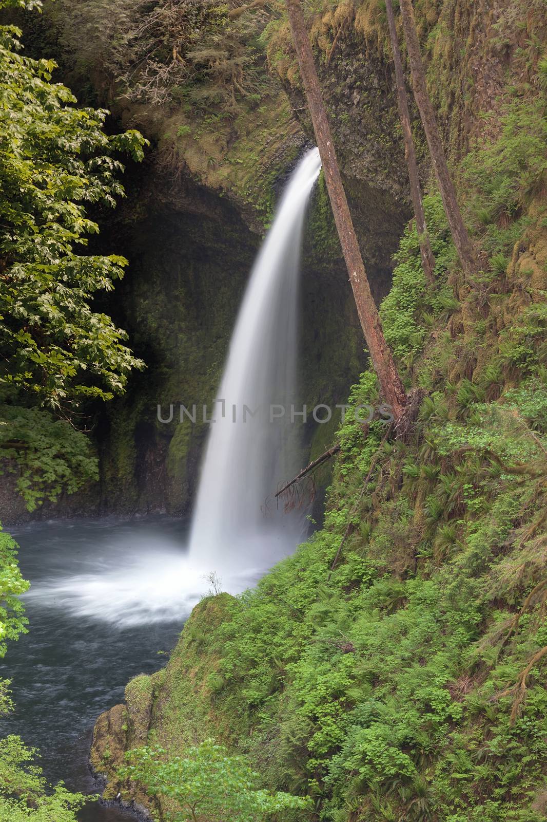 Metlako Falls along Eagle Creek Trails in Columbia River Gorge National Scenic Forest Oregon in Spring
