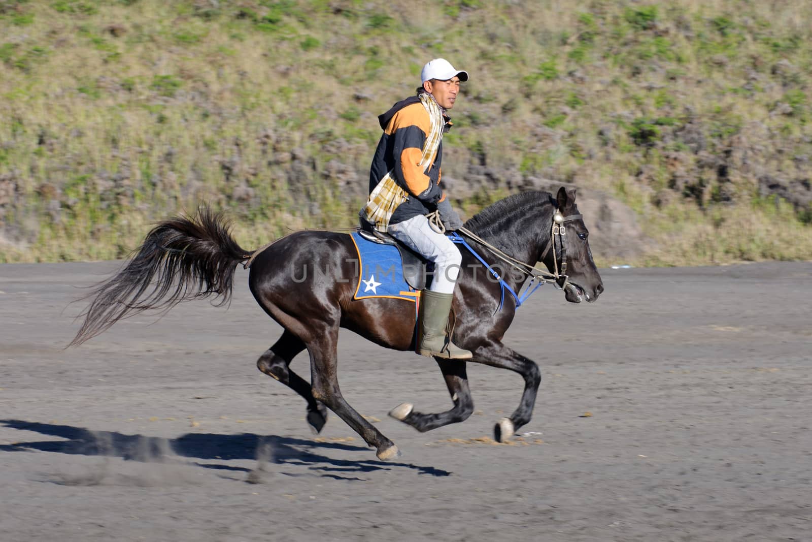  Horse riding service around Bromo. Mt. Bromo is an active volcano and part of the Tengger massif, in East Java. June 28, 2014.