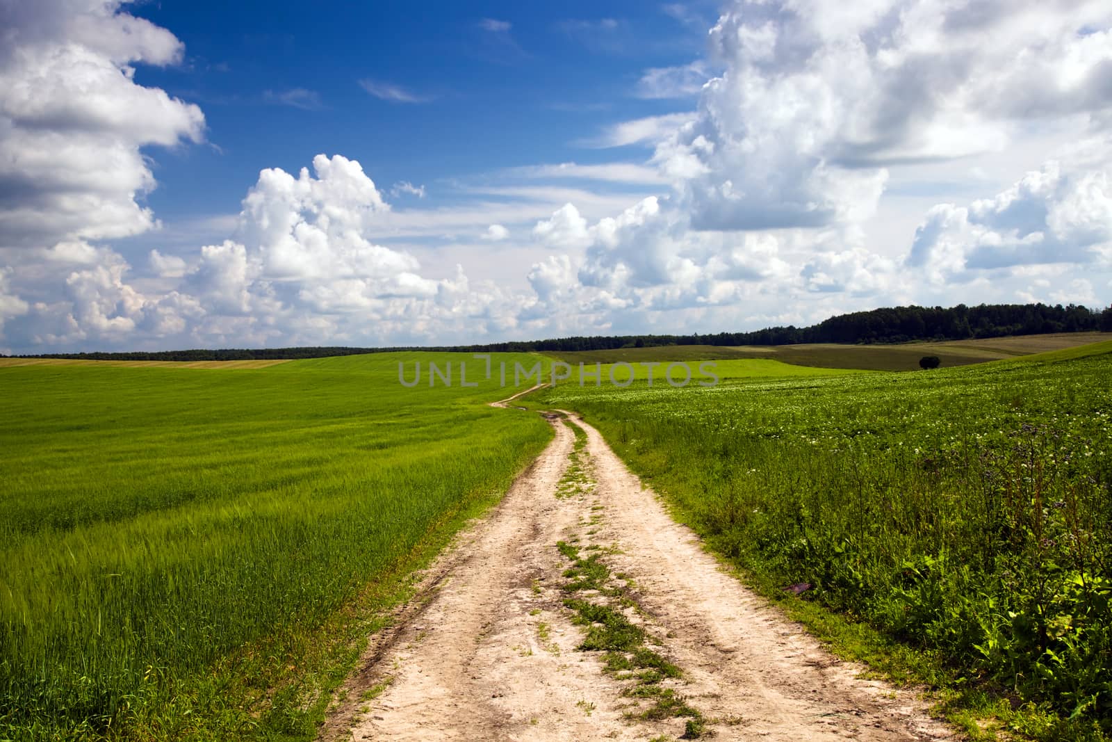   not asphalted country rural road located in Belarus