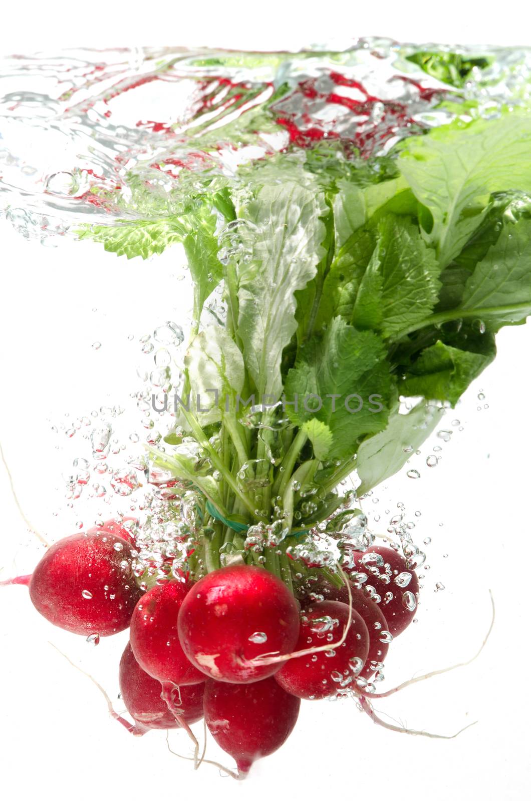 Bunch of radishes falling into water, white background isolated.