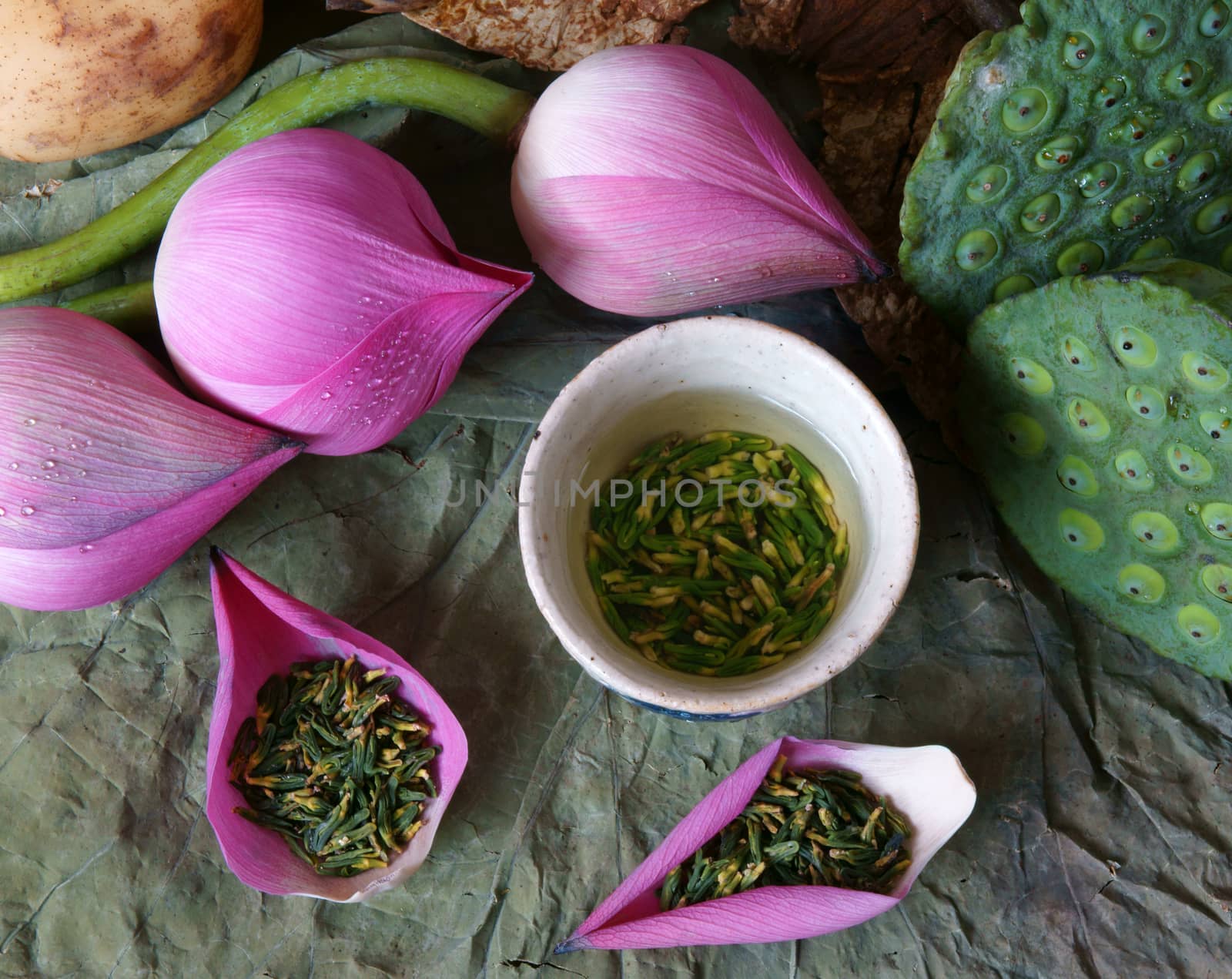 Collection of lotus, pink lotus flower, green seed, white lotus seed in fresh and dry, herbal tea of this flora, with amazing, abstract concept in vibrant color, this food make healthy , good sleep