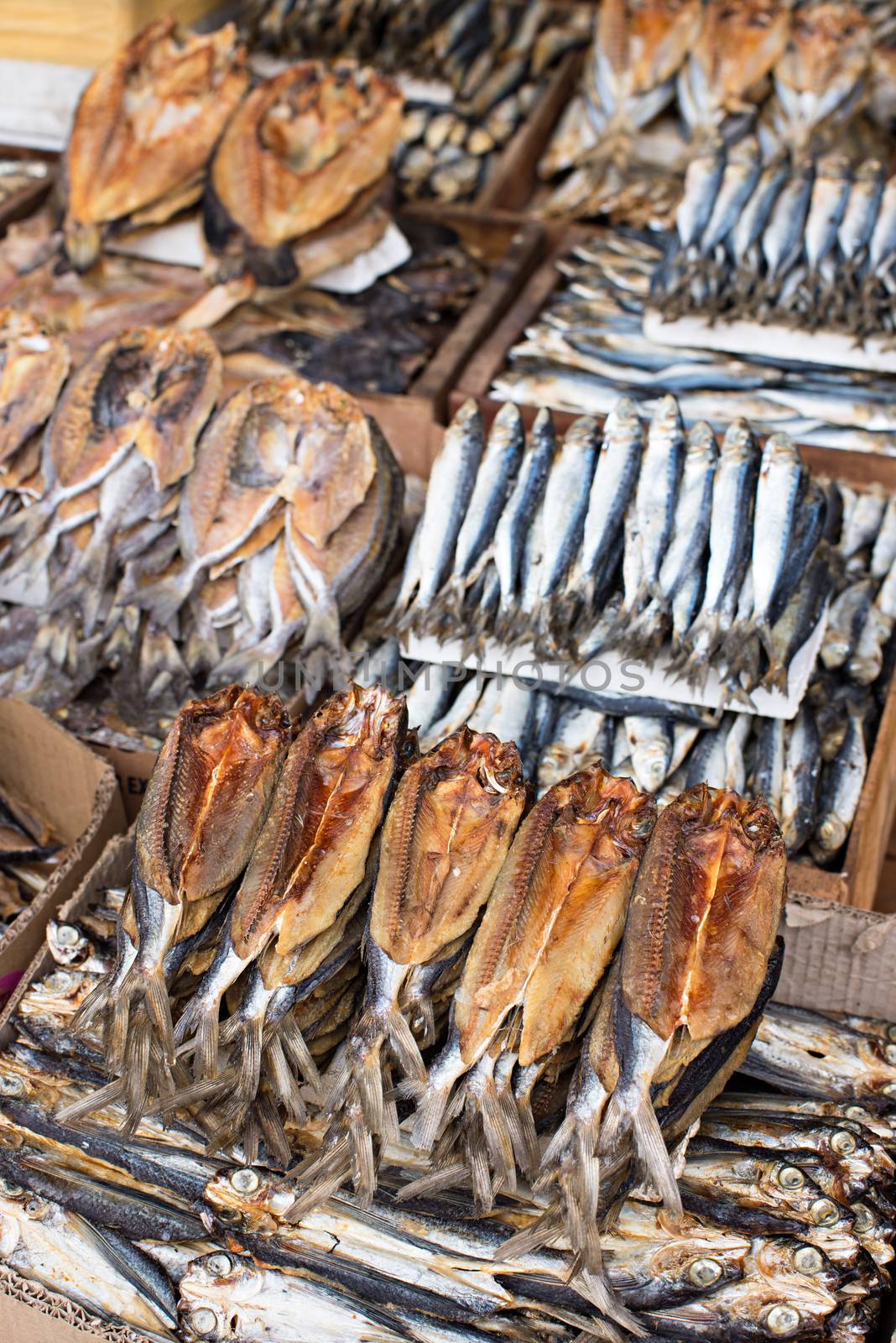 Dried fish at The Public Market in General Santos City, The Philippines. Very shallow depth of field with the nearest row of fishes in focus.