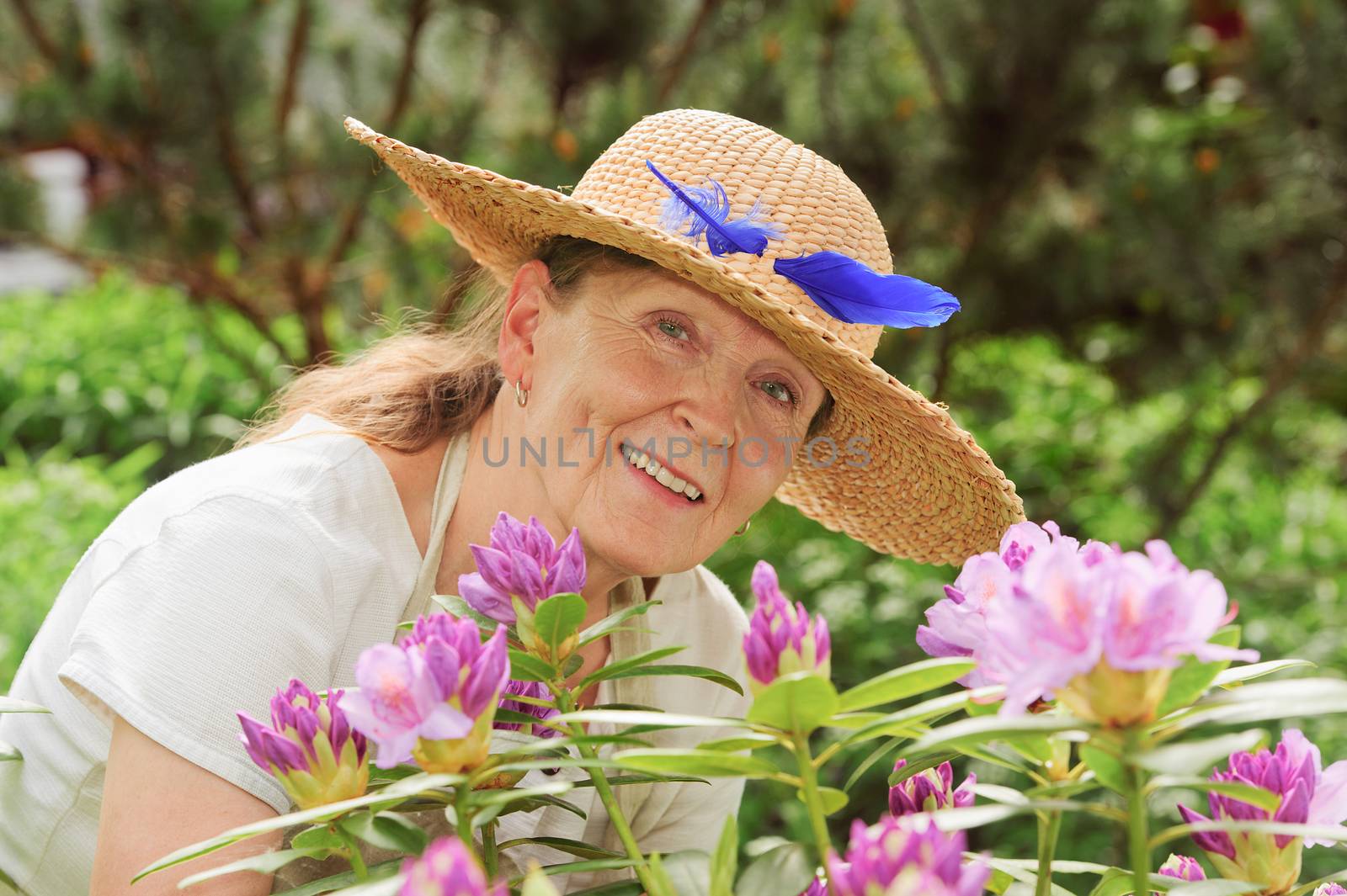 Senior woman laughing behind rhododendron flowers. She's wearing a straw hat with a blue feather in it.