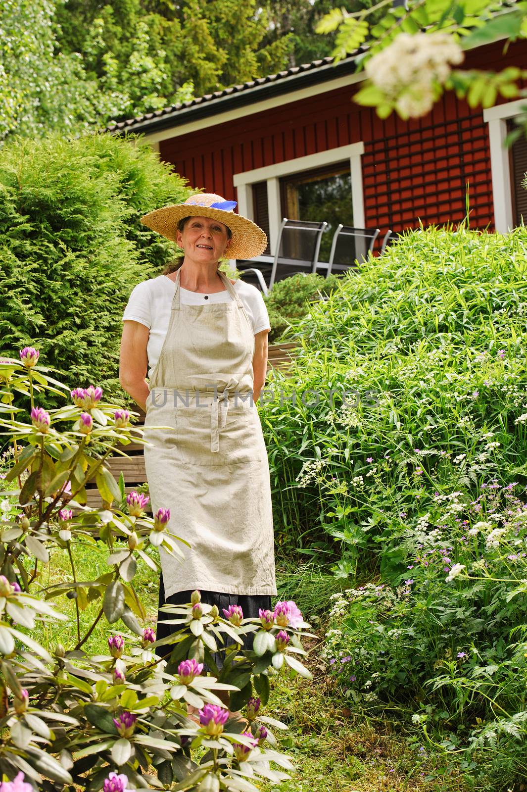 Senior woman standing in her garden, She is surrounded by bushes. There's a red house partly seen in the background. She's wearing an apron