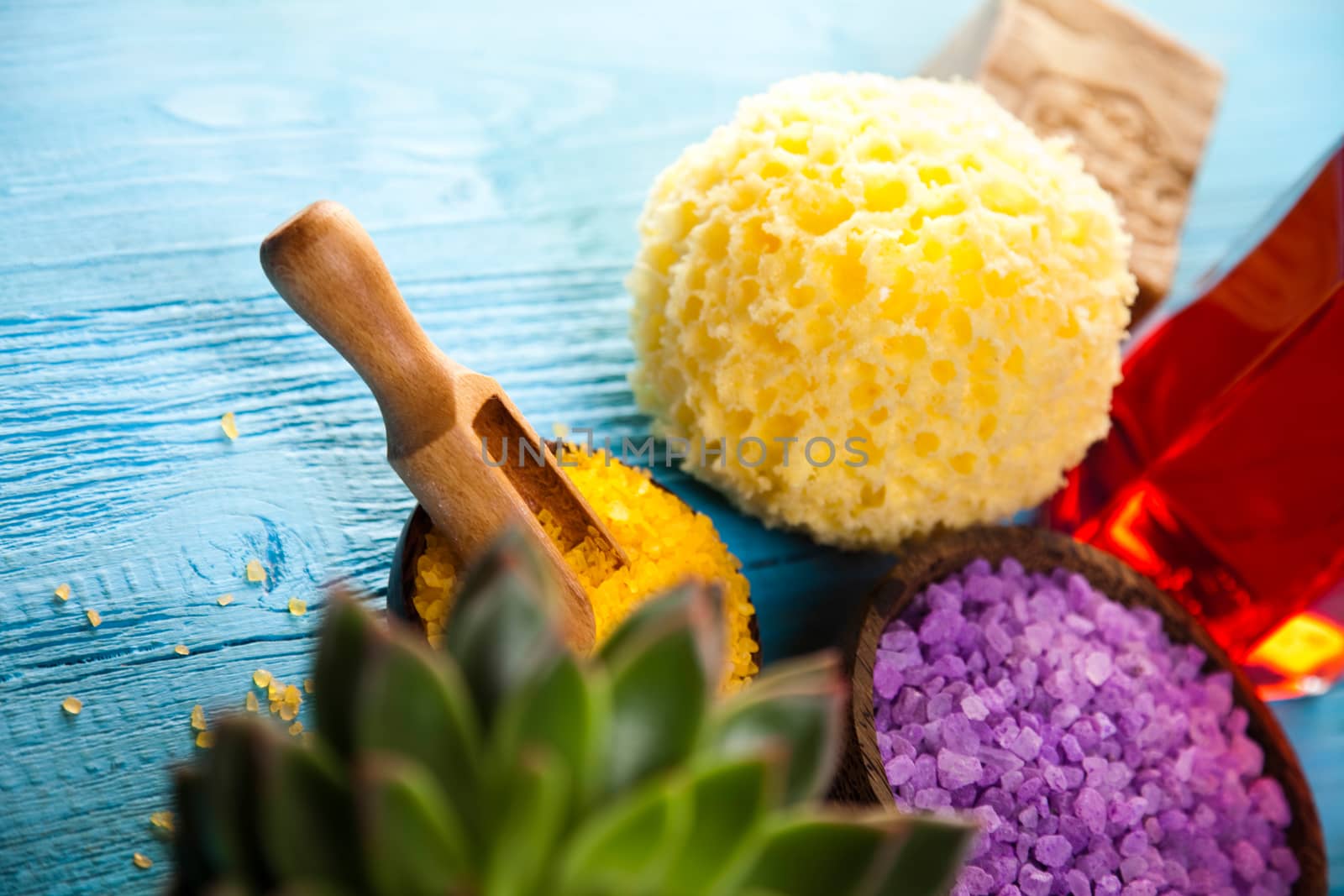 Spa accessories, fresh and organic concept