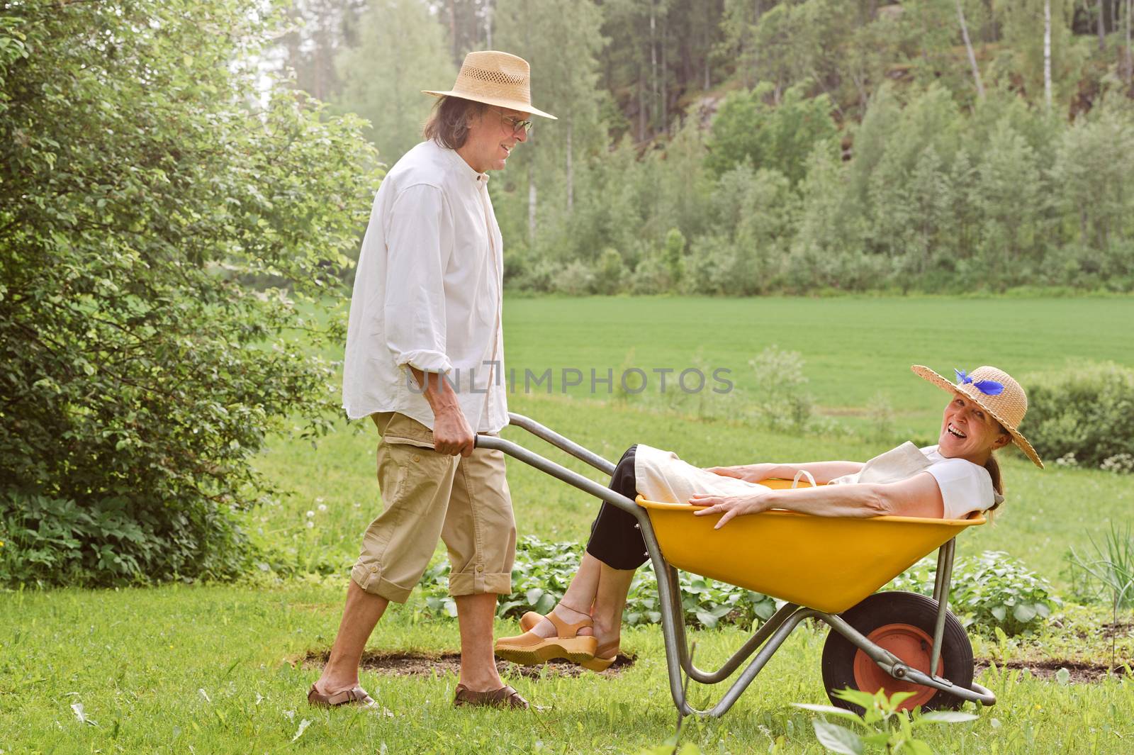 Senior man carries a senior woman in a wheelbarrow outdoors near a vegetable patch. They're laughing and having fun. Digital filtering used