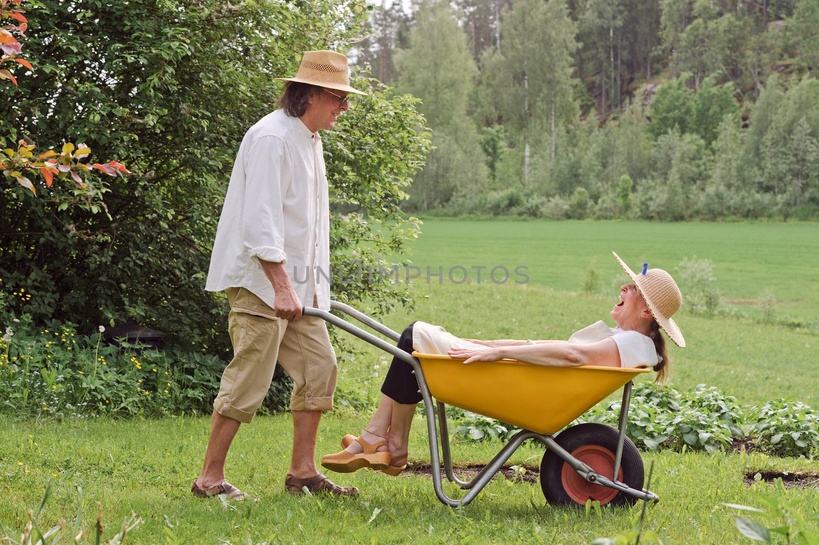 Senior man carries a senior woman in a wheelbarrow outdoors near a vegetable patch. They're laughing and having fun.