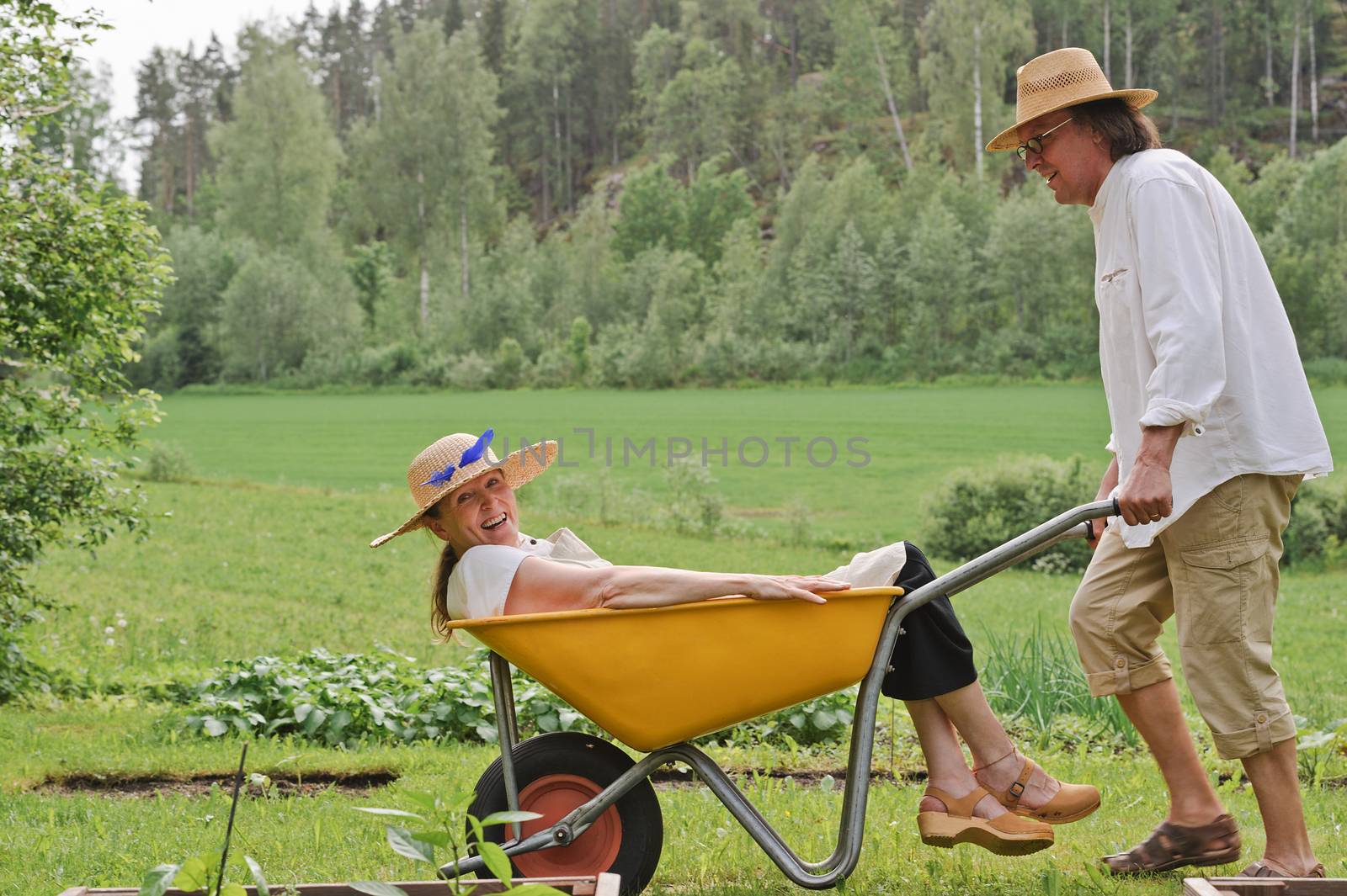 Senior man carries a senior woman in a wheelbarrow outdoors near a vegetable patch. They're laughing and having fun.