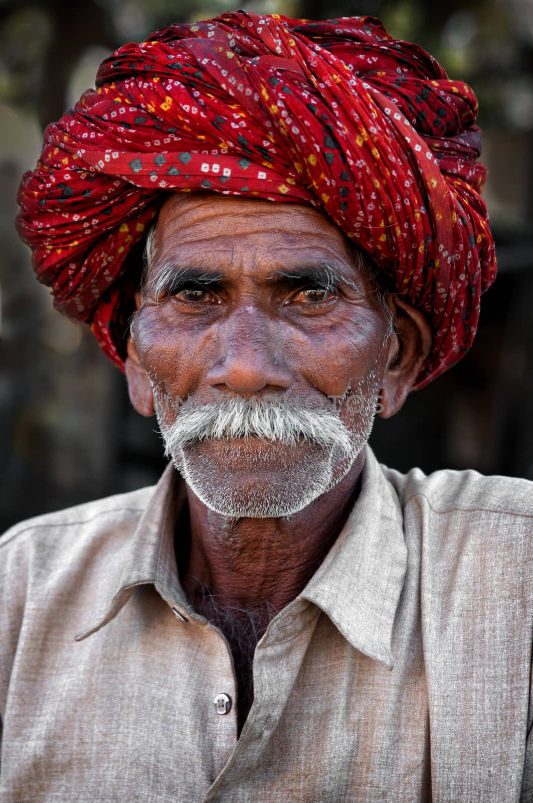 PUSHKAR, INDIA - MARCH 03, 2013: Undefined man with moustache in colourful turban portrait by johnnychaos