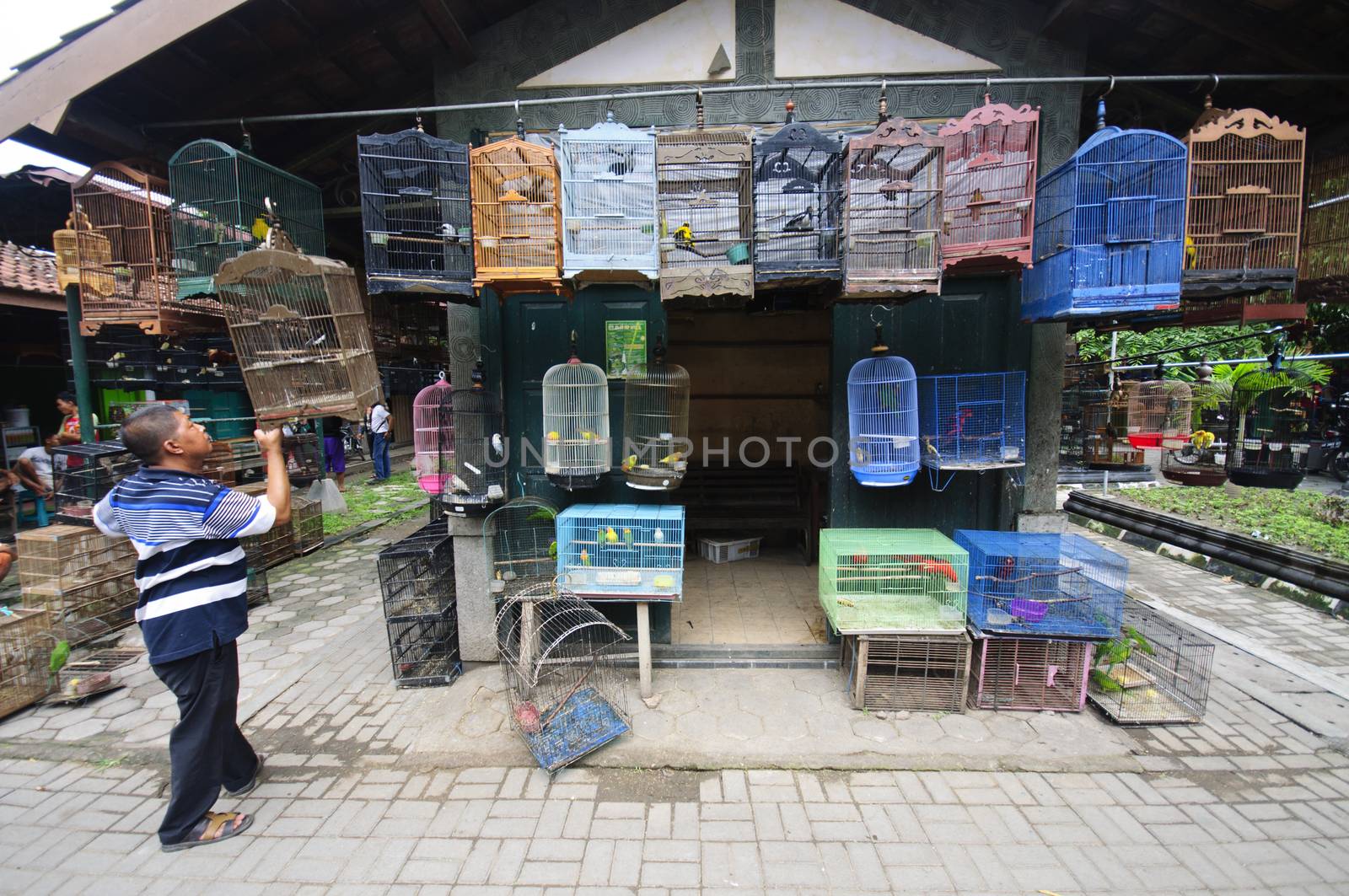 YOGYAKARTA, INDONESIA - JUNE 26, 2014: Undefined man sells birds at the Pasar Ngasem Market in Yogyakarta, Java, Indonesia. by johnnychaos