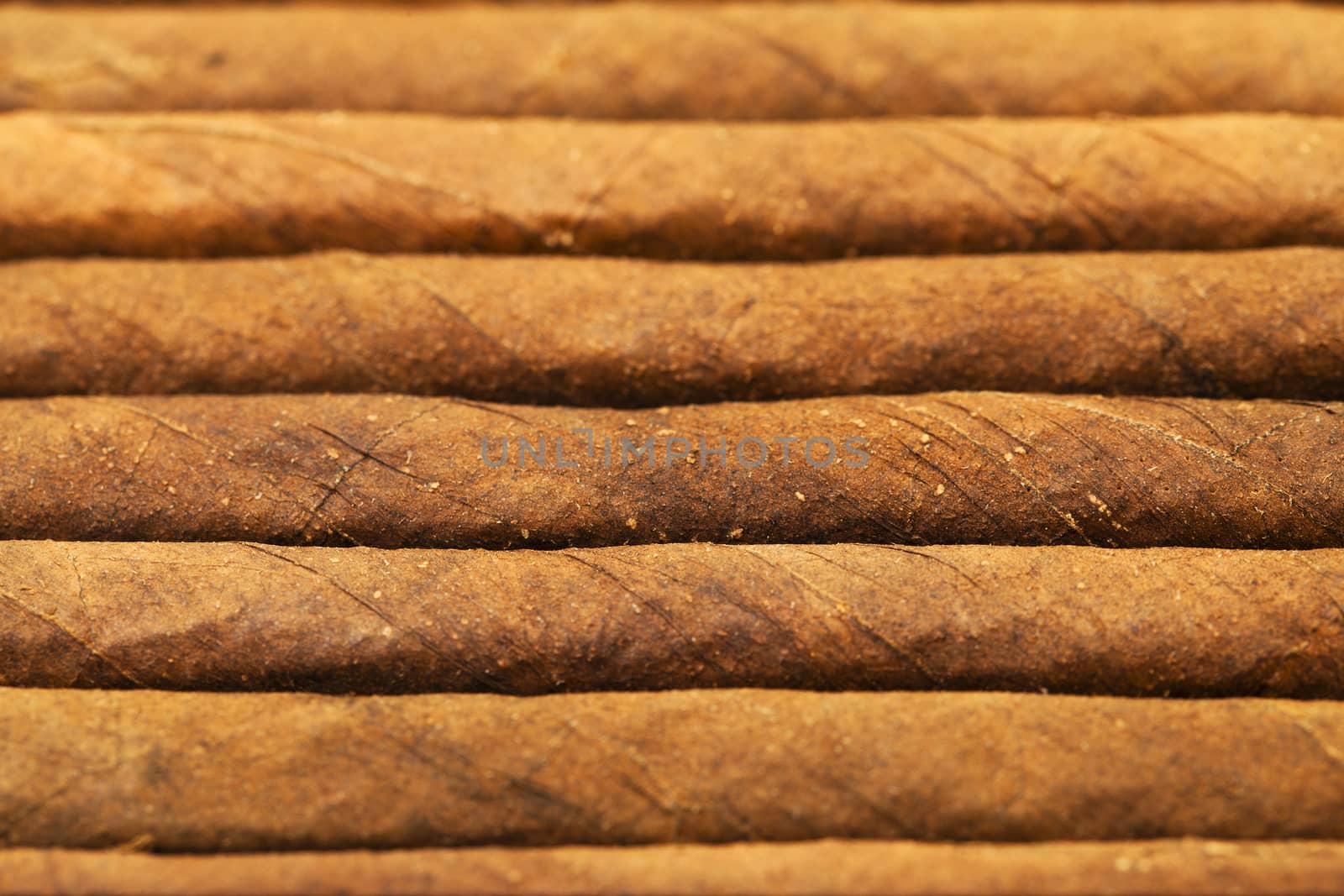 background from cigars   by avq