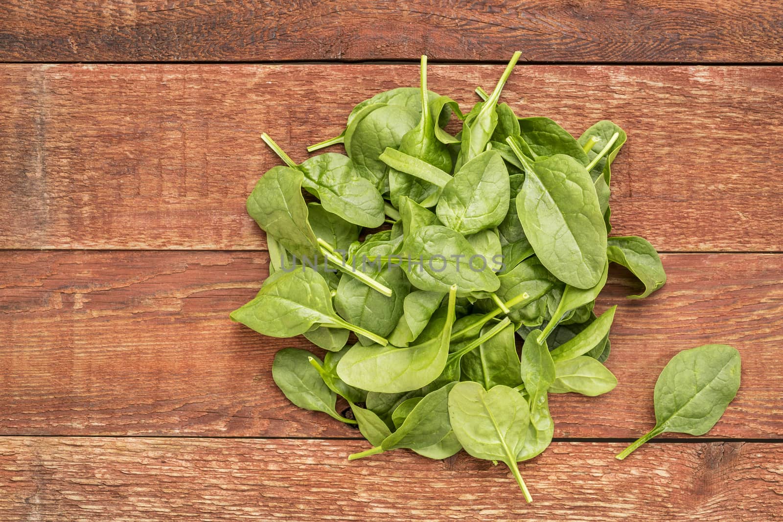 fresh baby spinach leaves against rustic,  red barn wood table