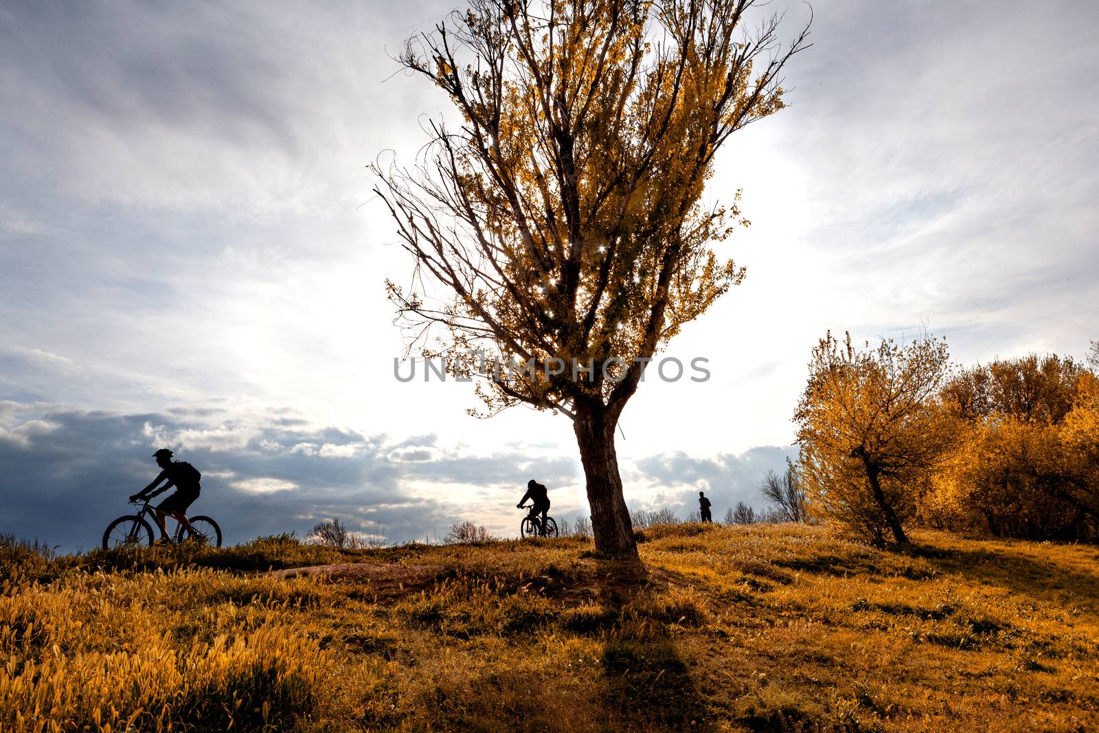 Park and healthy life.Silhouettes of cyclists 