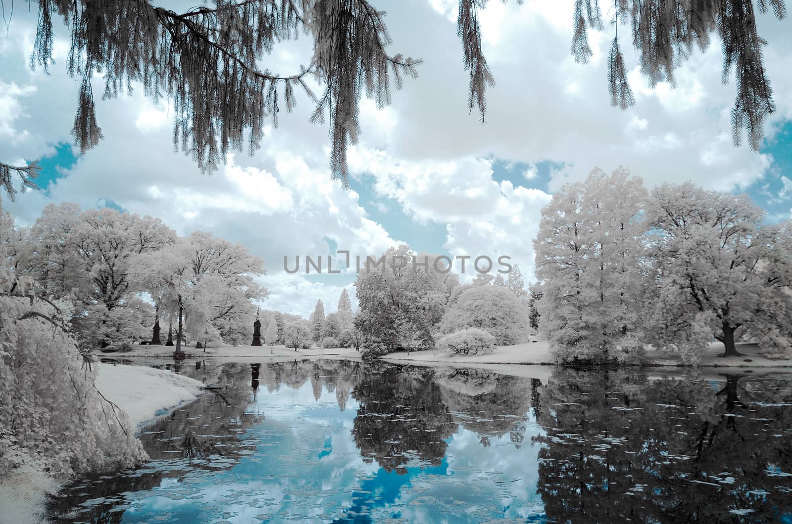 Landscape forest and the lake, infrared photo. by snelsonc