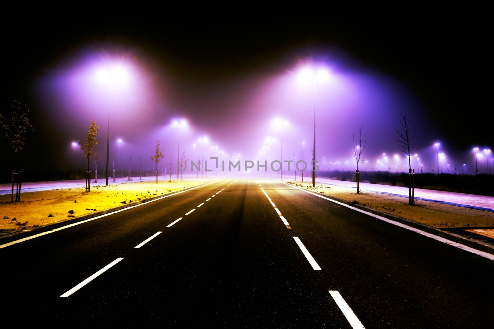 Road and city lights. Foggy cityscape and lampost