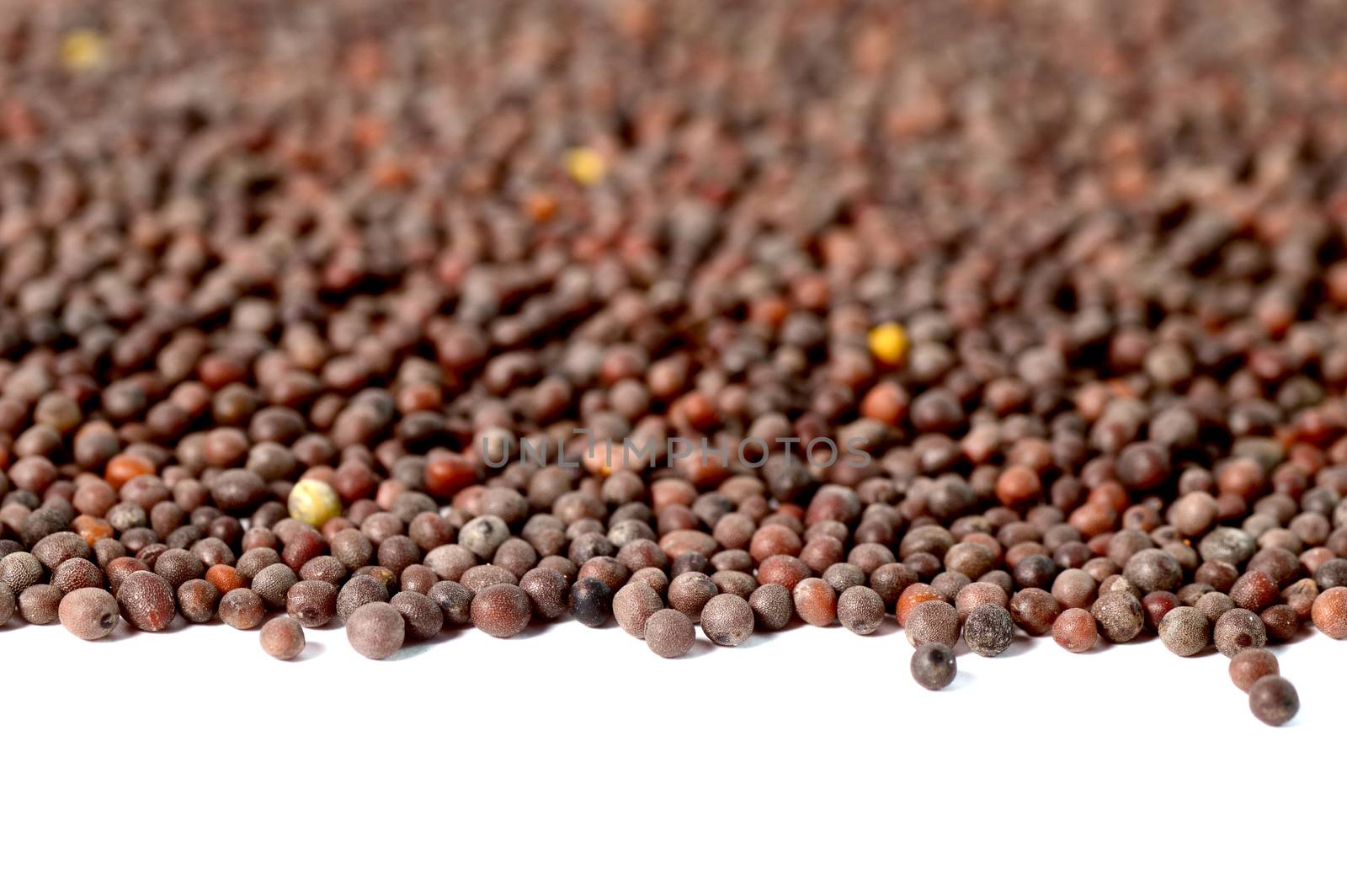 Indian Brown Mustard Seeds