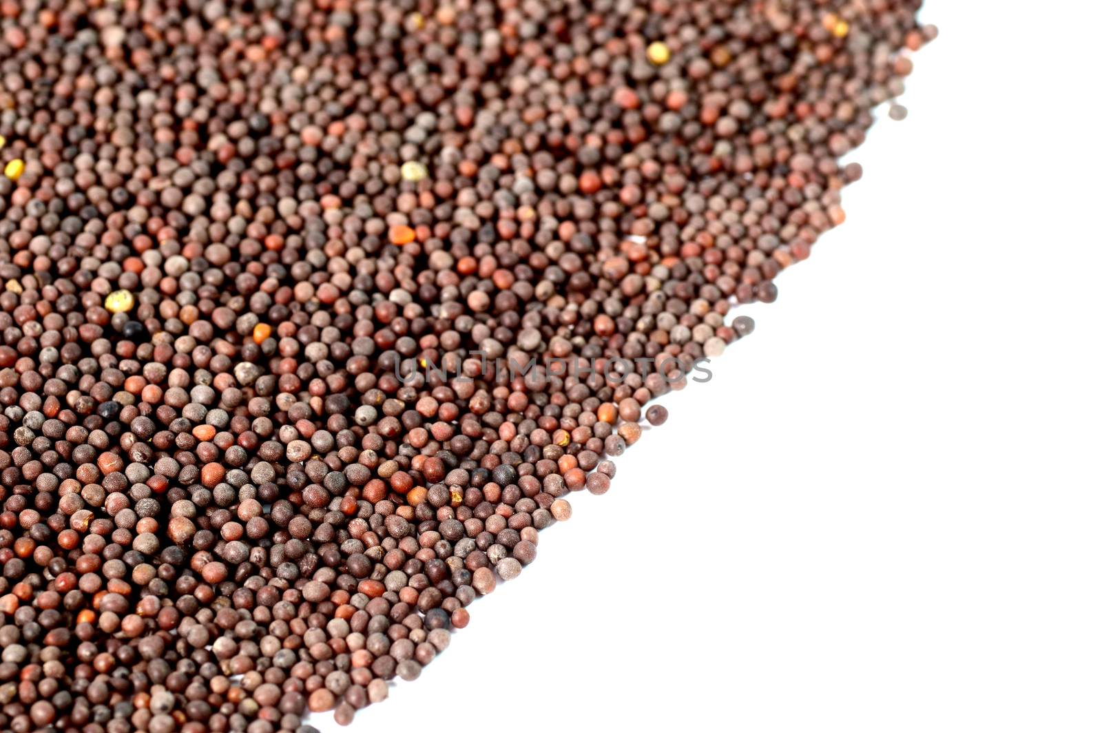 Indian Brown Mustard Seeds