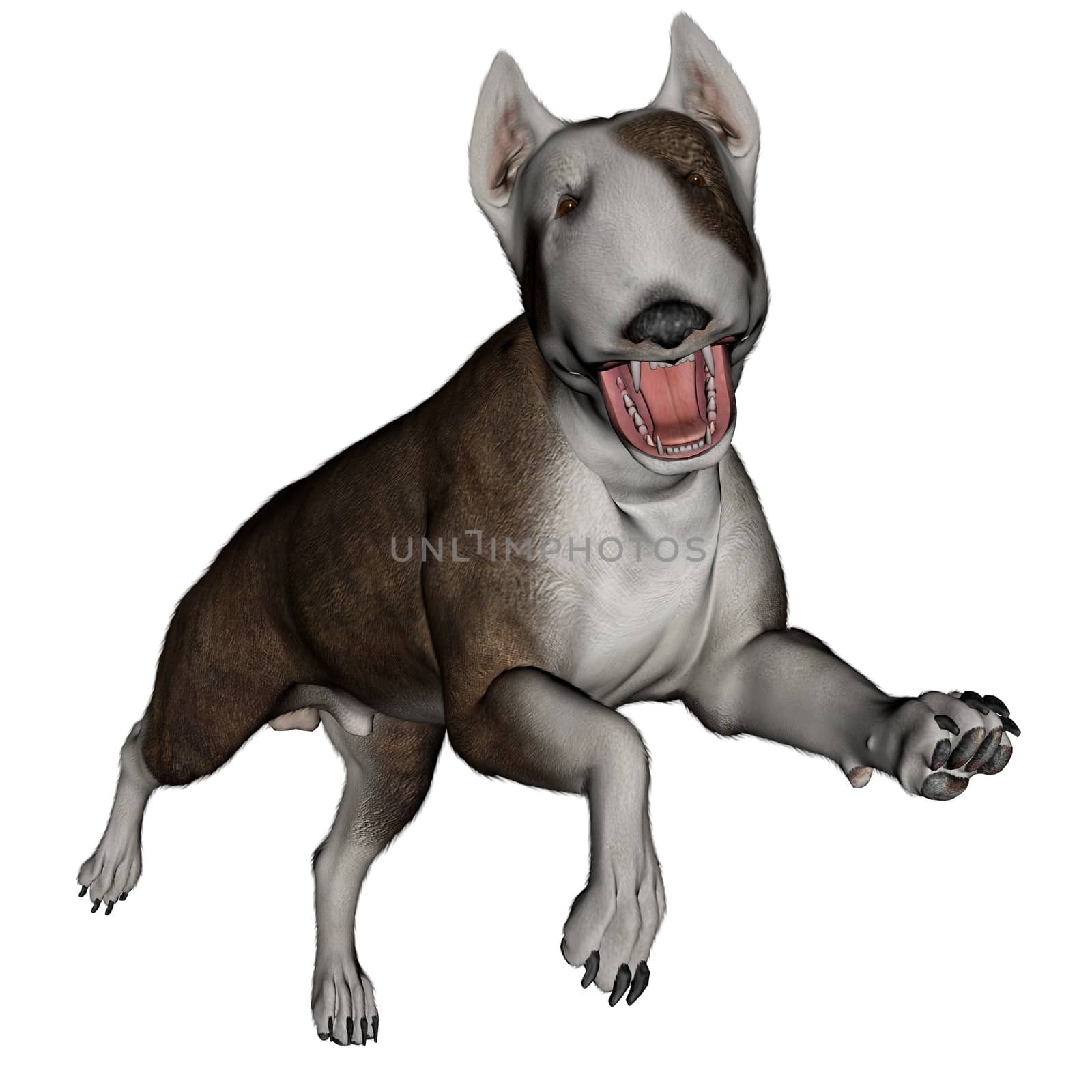 Bull terrier dog runnning - 3D render by Elenaphotos21