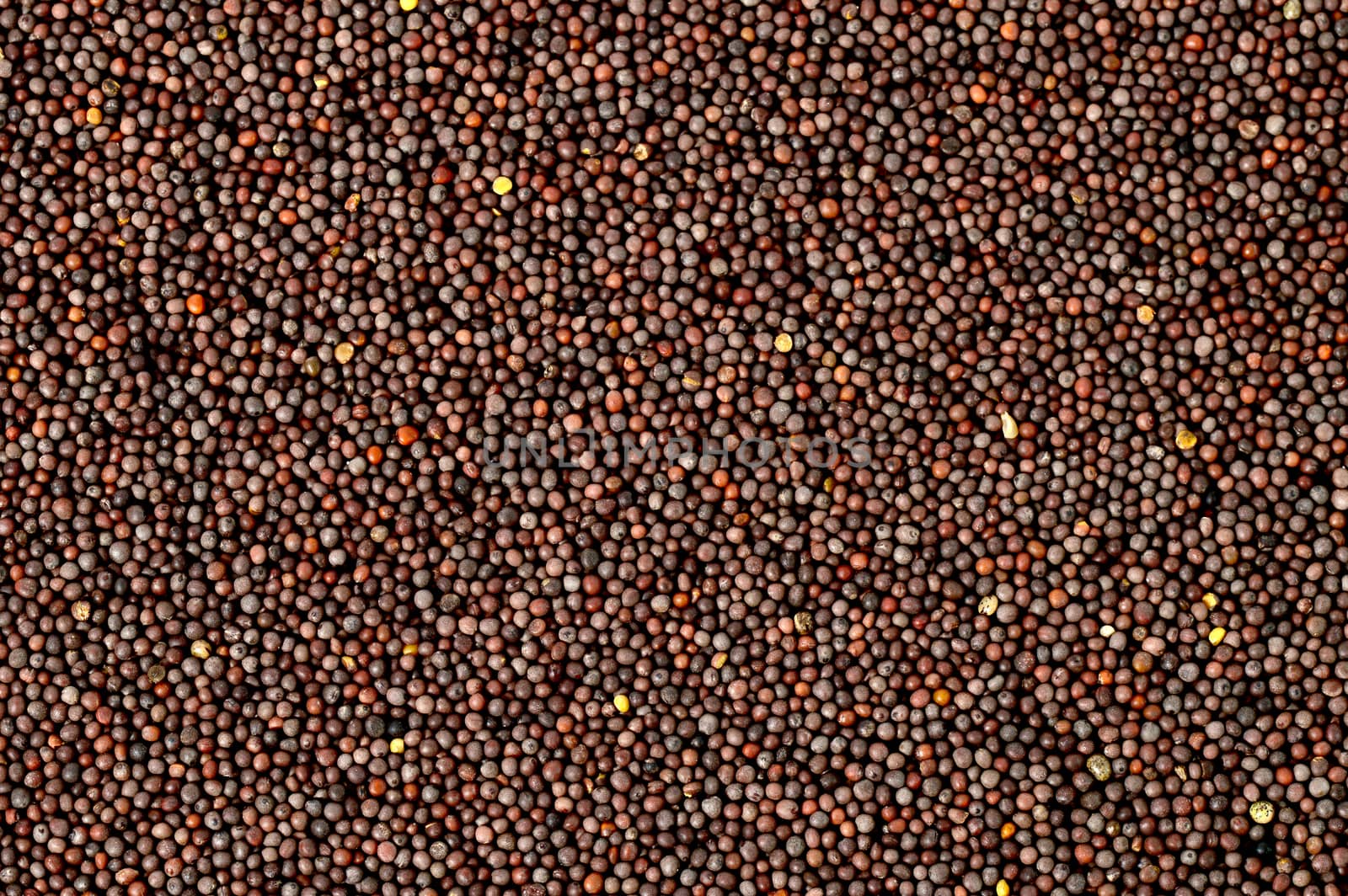 Brown Mustard Seeds as a background