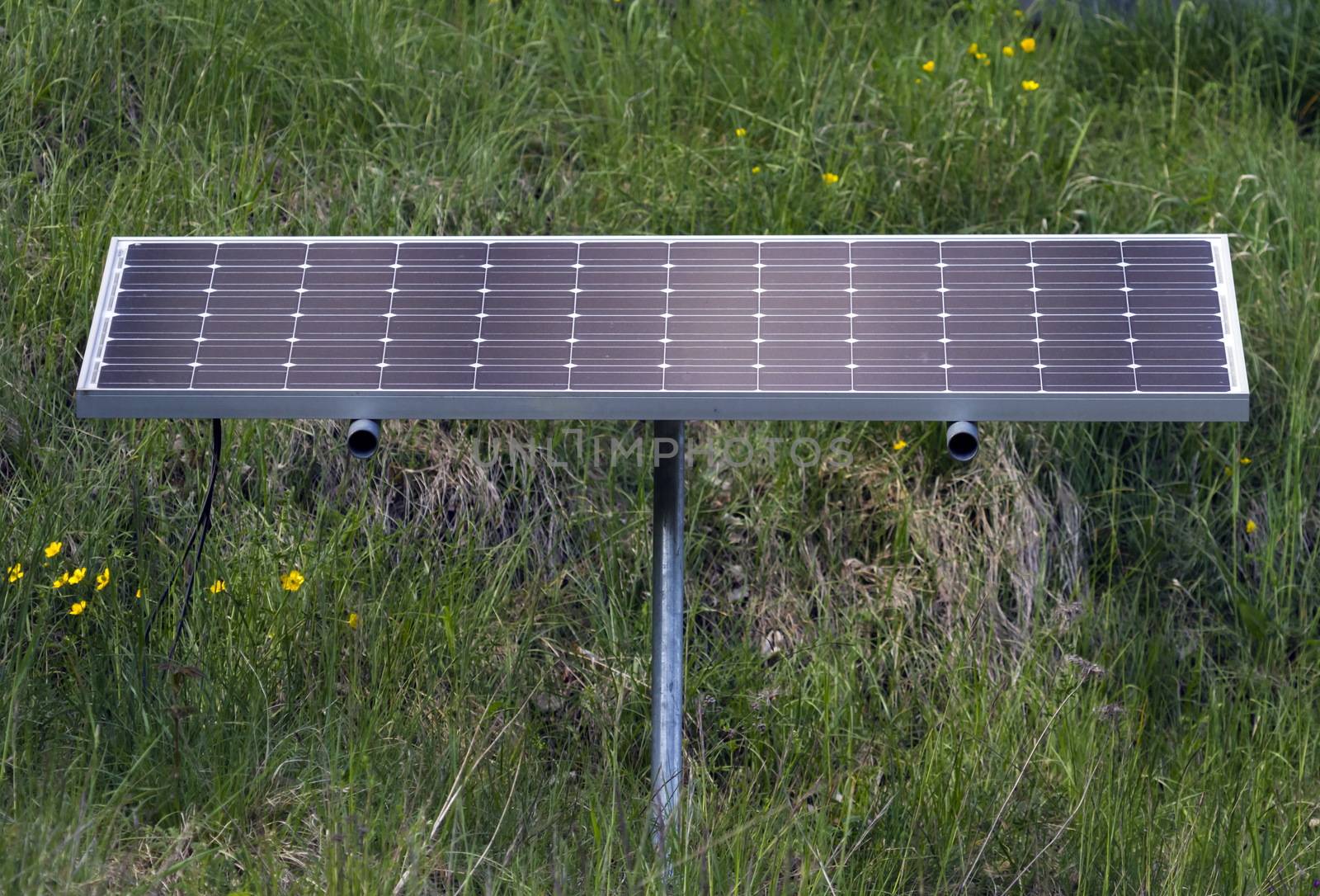 One solar panel standing on the green grass in nature