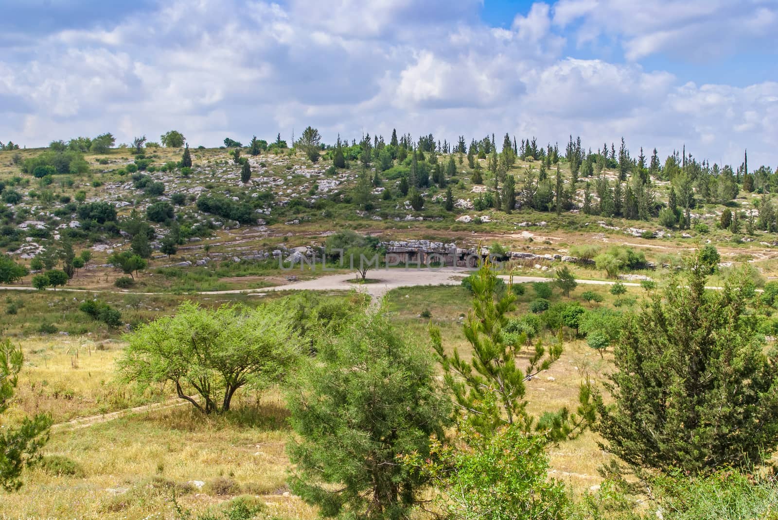 Israel landscape, forest, mountains with cave in Israel. Modiin 