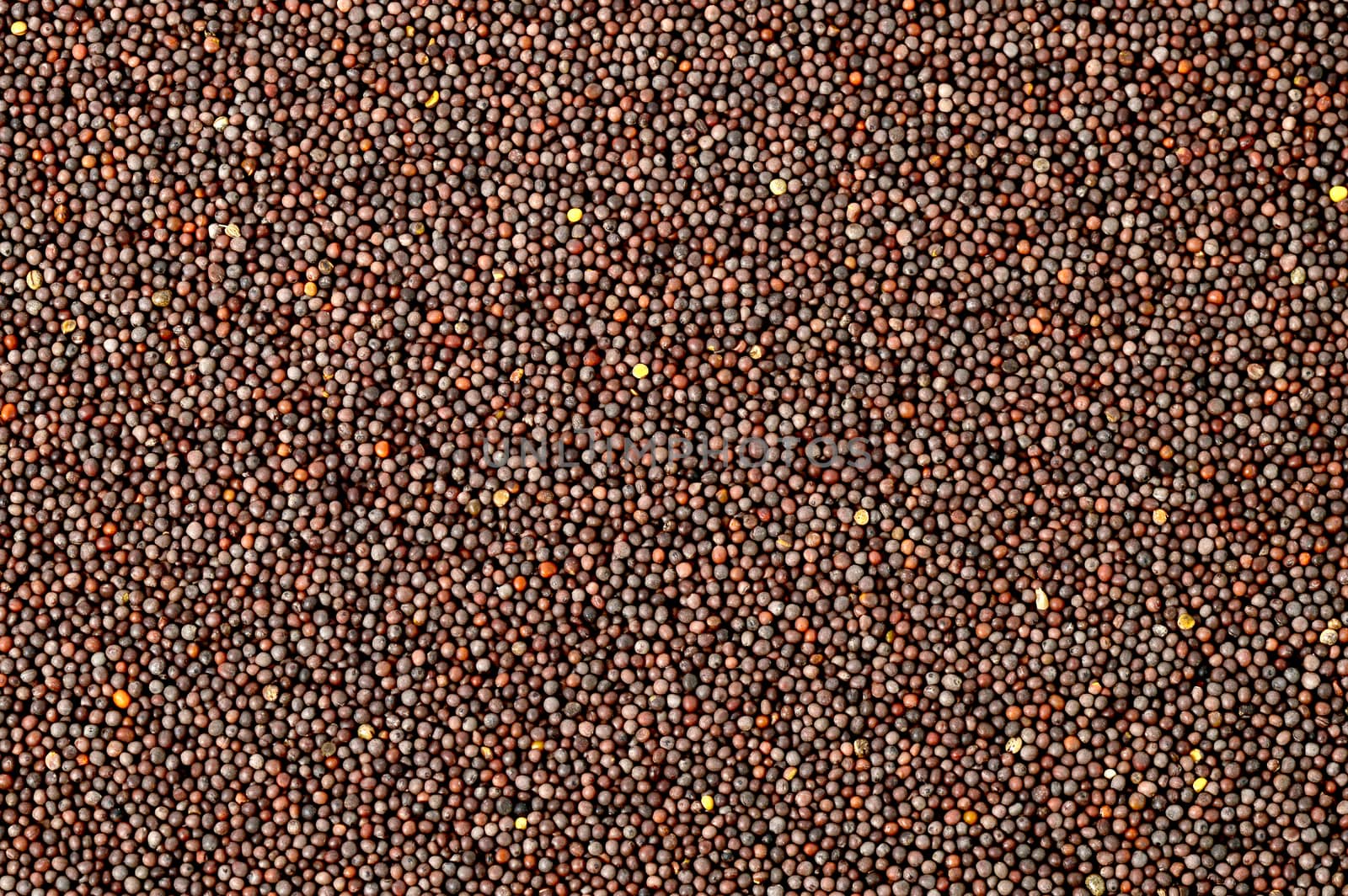 Brown Mustard Seeds as a background