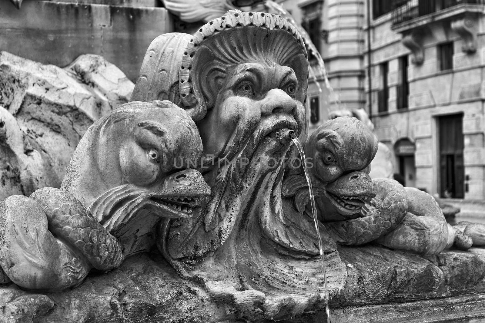 detail of the fountain in Piazza della Rotonda in Rome in black and white