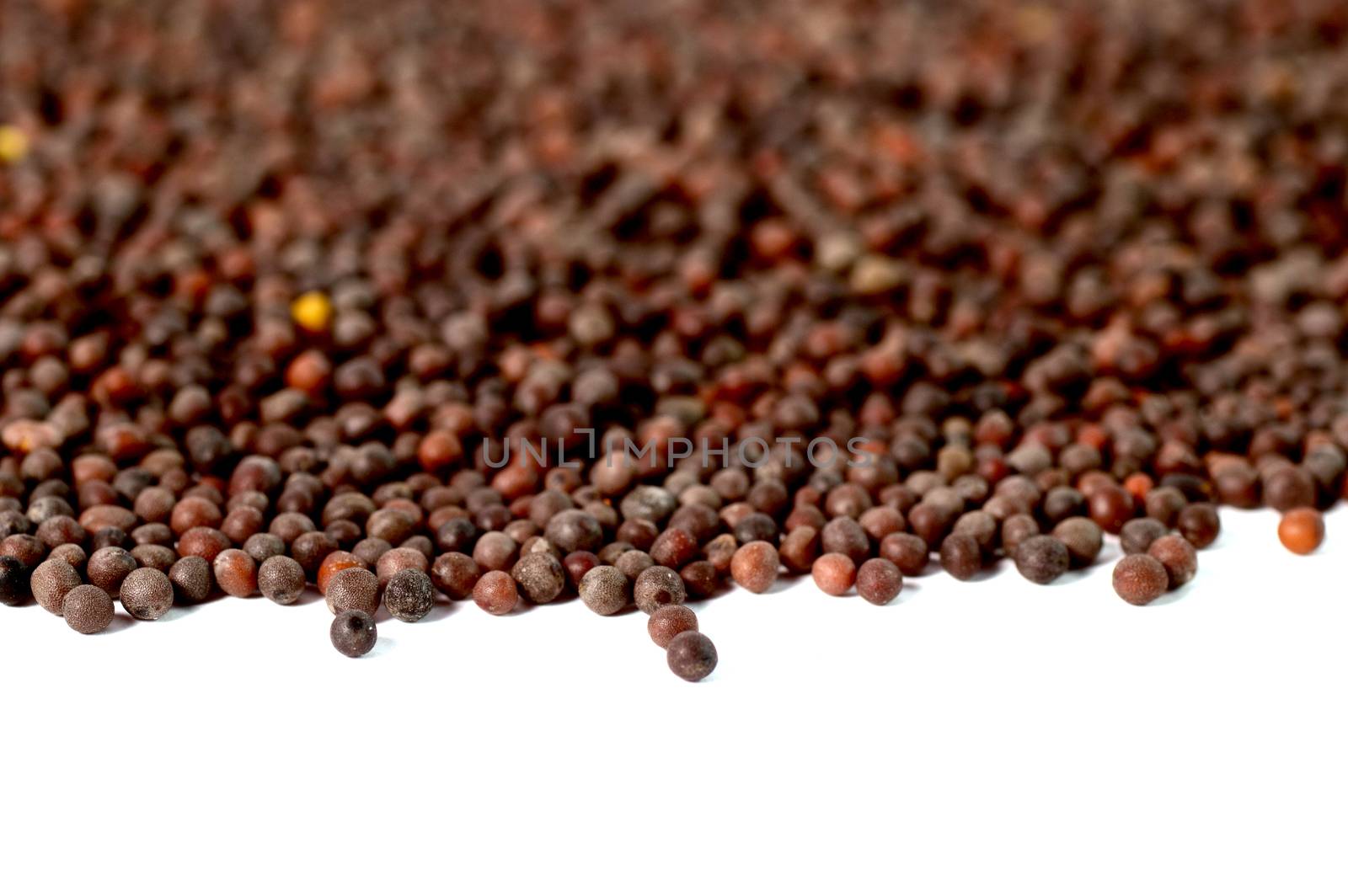 Indian Brown Mustard Seeds