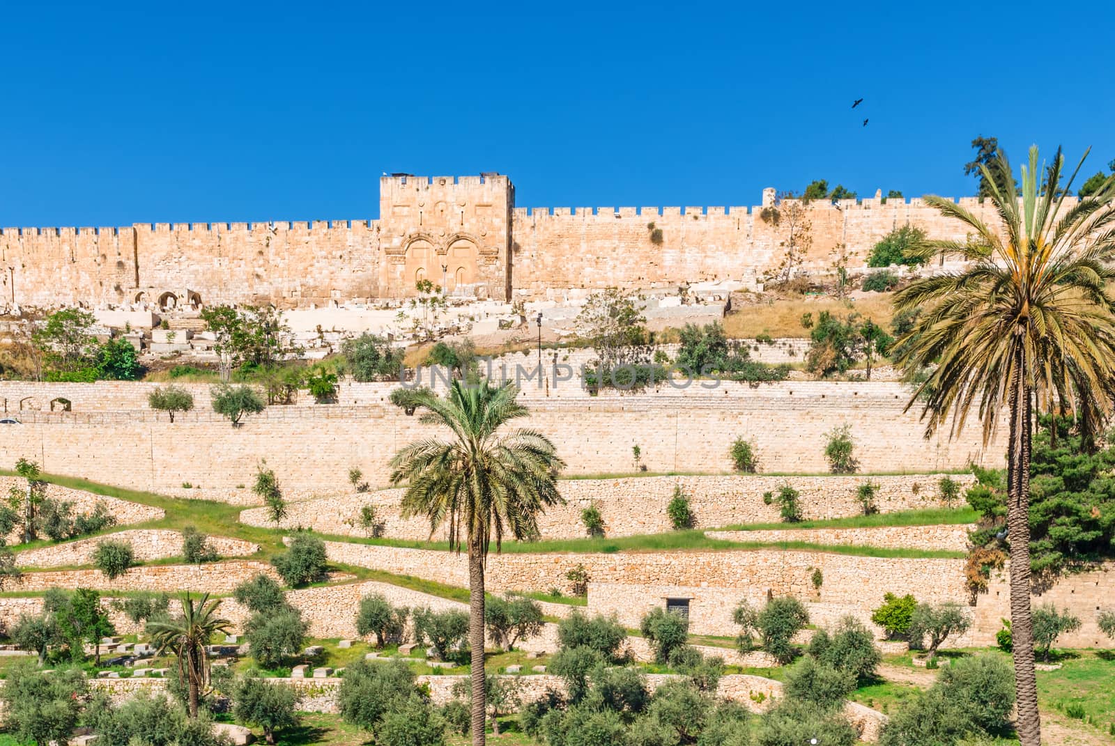 Golden gates of Jerusalem on the east wall of the old town by Zhukow