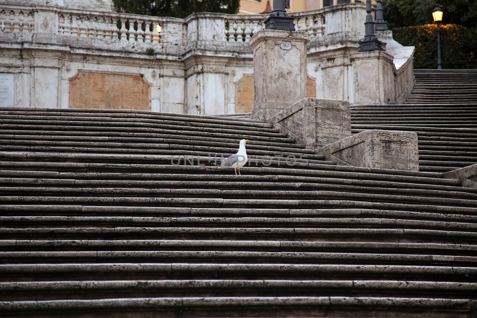  Spanish square with Spanish Steps  in Rome Italy, piazza Spagna ( photographed very early in the morning )