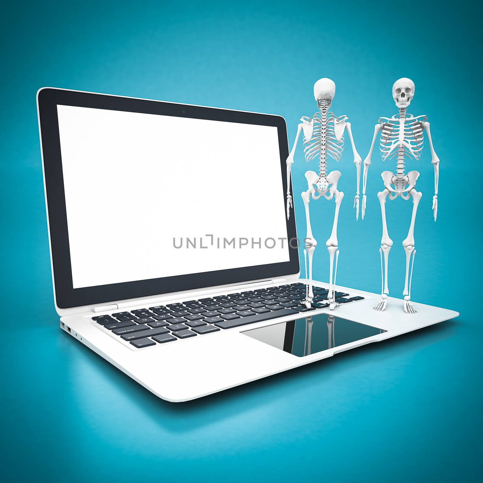 skeleton model and white laptop on a blue background