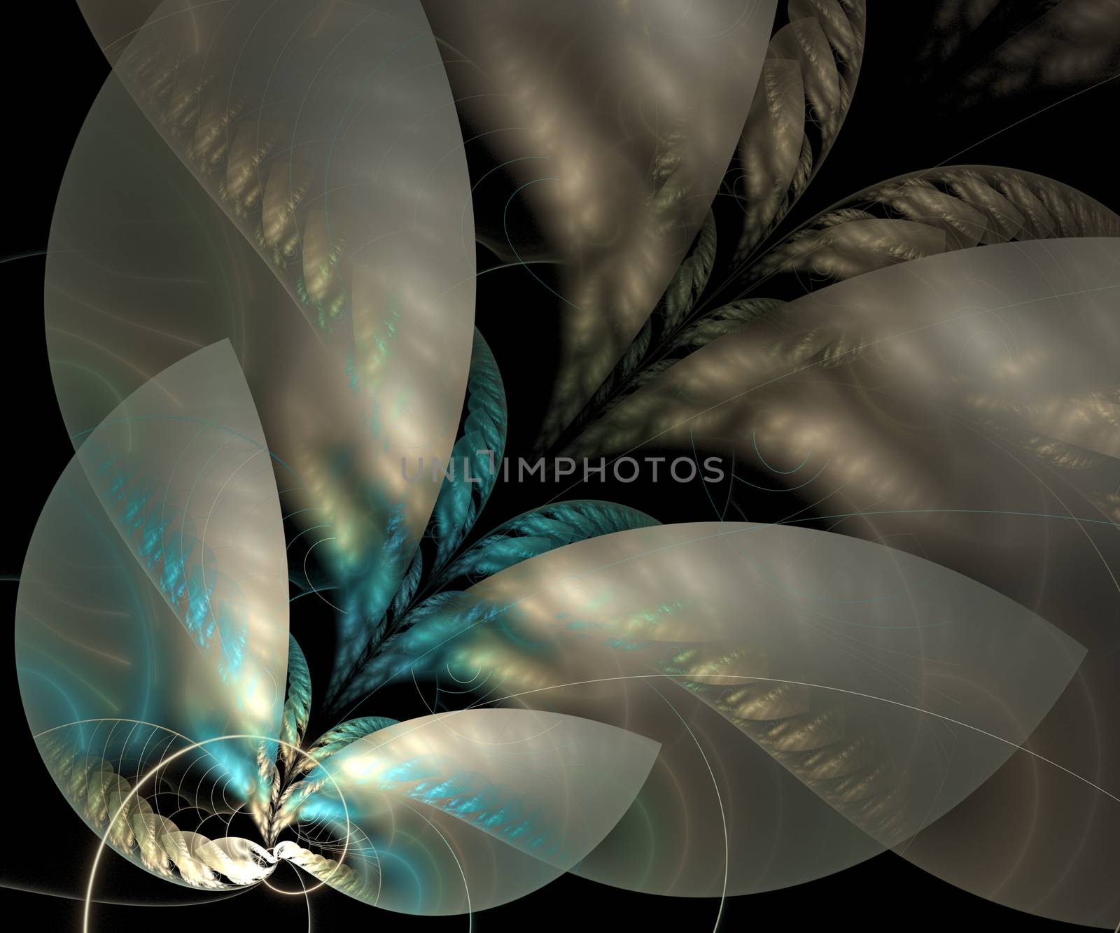 Computer generated fractal artwork for design, art and entertainment