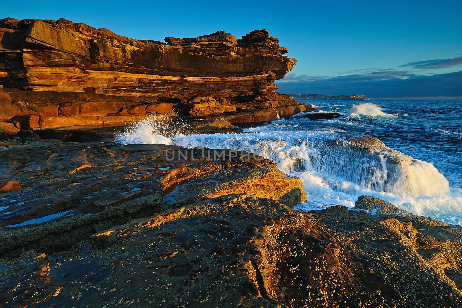 Sunrise seascape with orange rocks and ocean pools and sea shells with cloudy stormy sky and distant cliffs