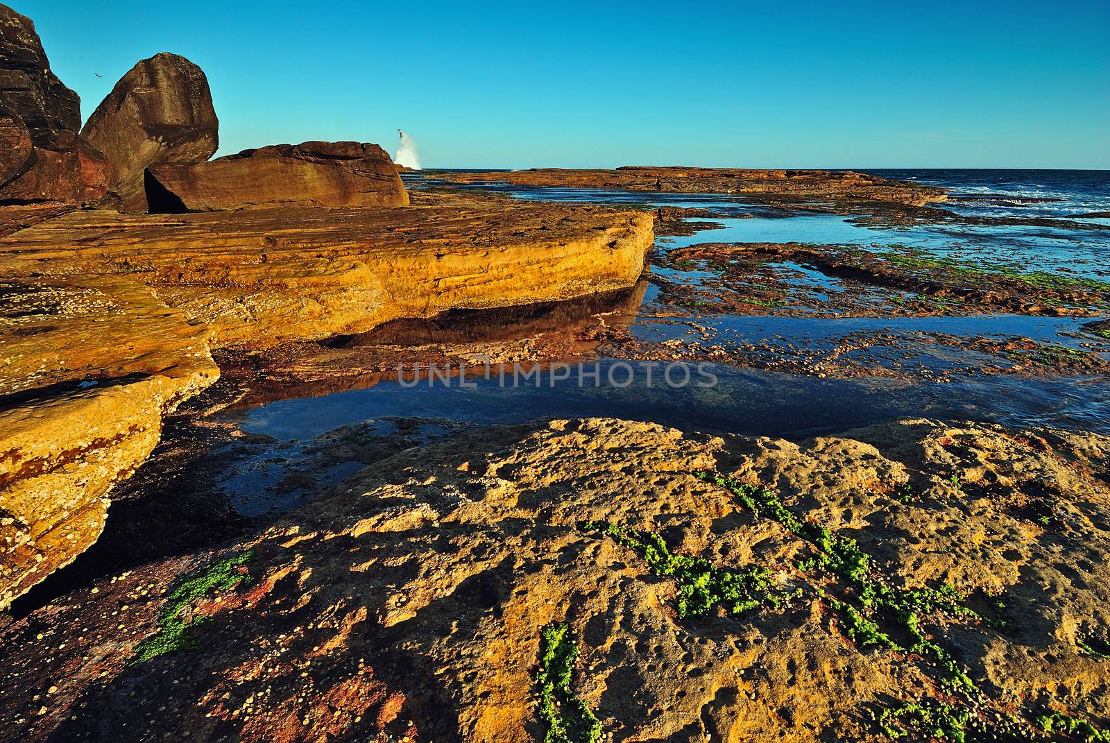 Early morning seascape with orange cliffs and rock platform and warm light