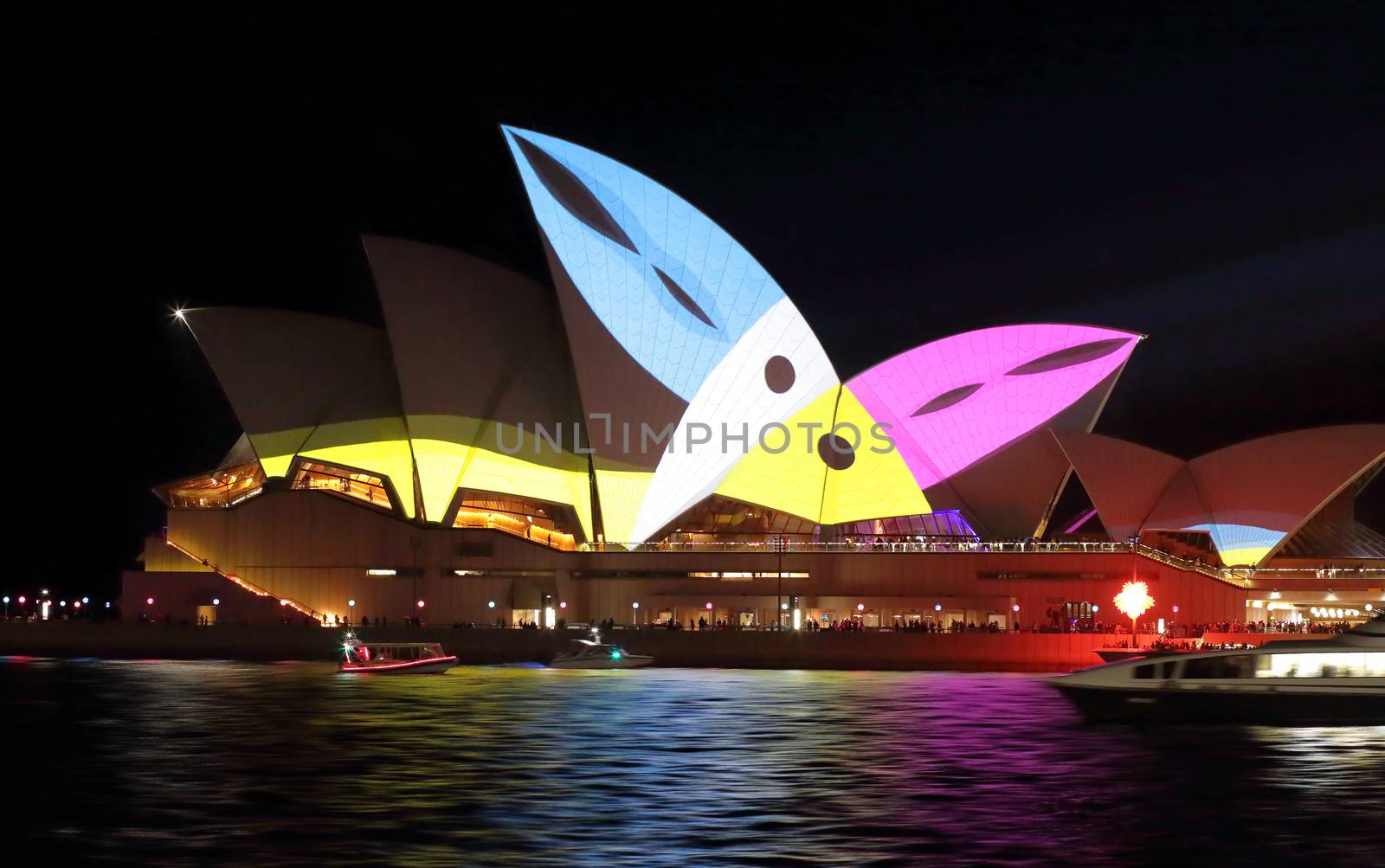 SYDNEY, AUSTRALIA - MAY 23, 2015; Sydney Opera House illuminated with colourful animated imagery during the Vivid Sydney 2015 annual public event. Here, two toucans chirp