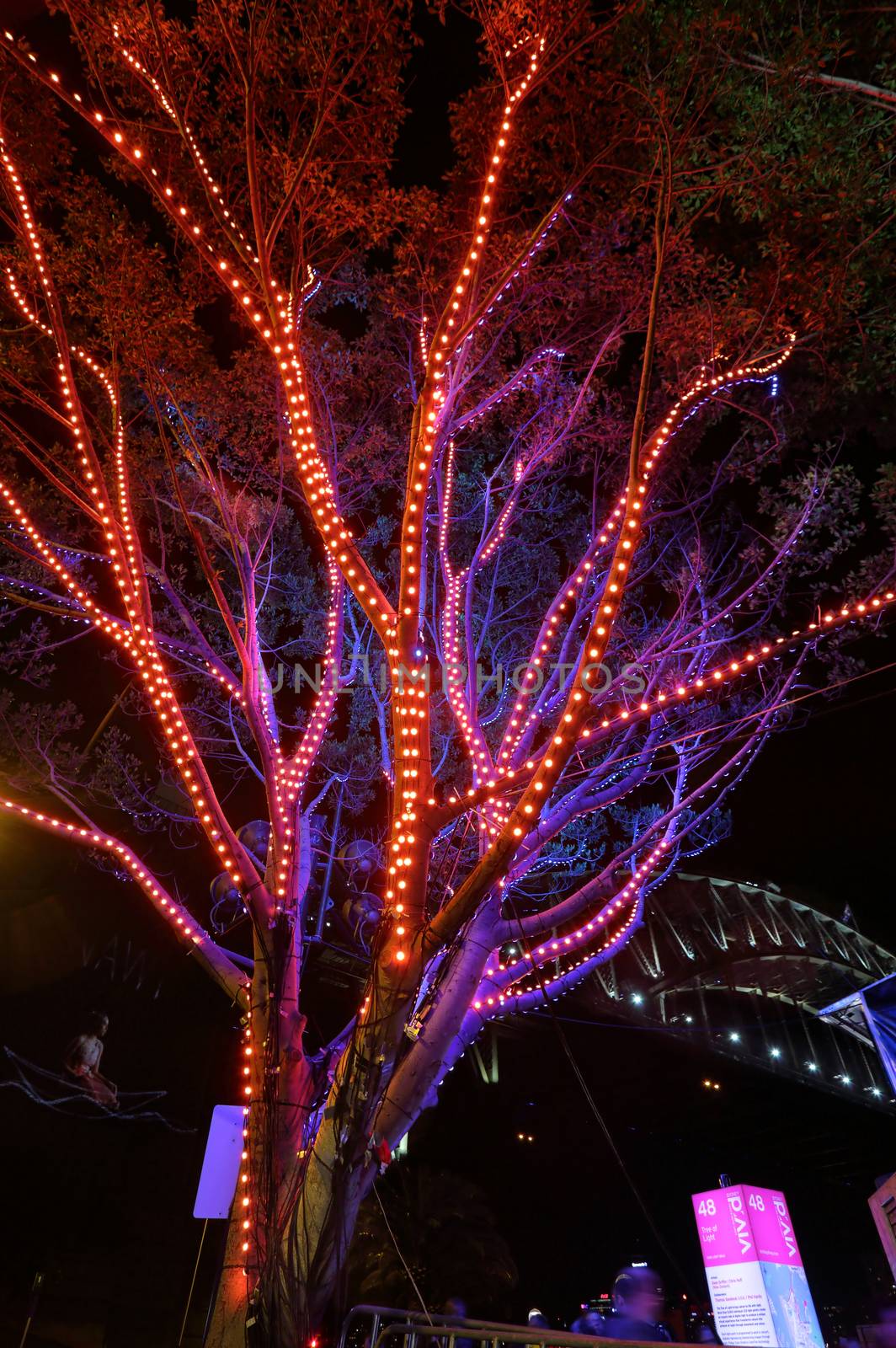 SYDNEY, AUSTRALIA - MAY 23, 2015;  The Tree of Light has more than 5000 interactive led lights to produce a unique visual experience. Artist: Dean Griffin