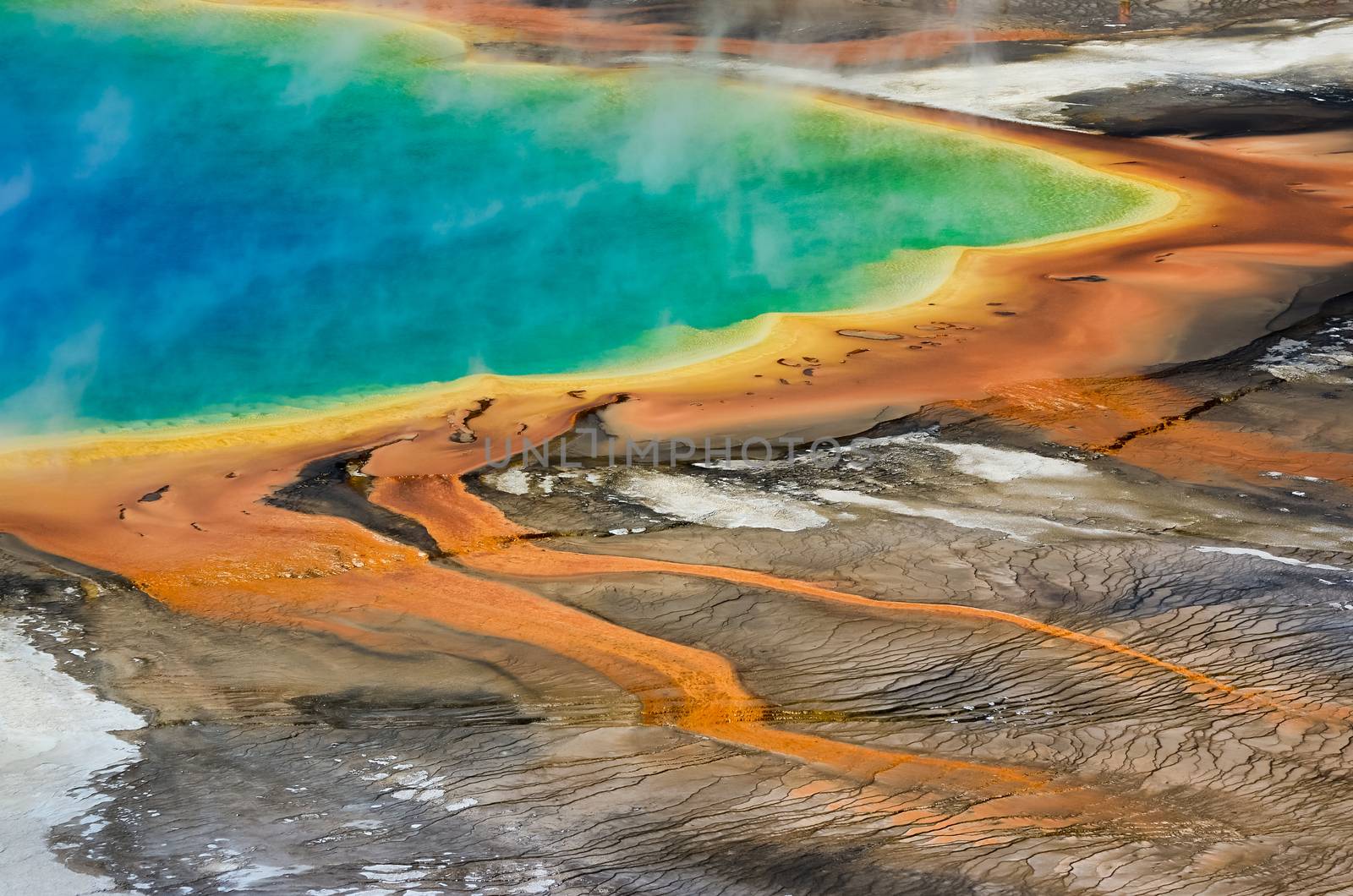 Detail view of Grand Prismatic spring in Yellowstone NP, Wyoming, USA