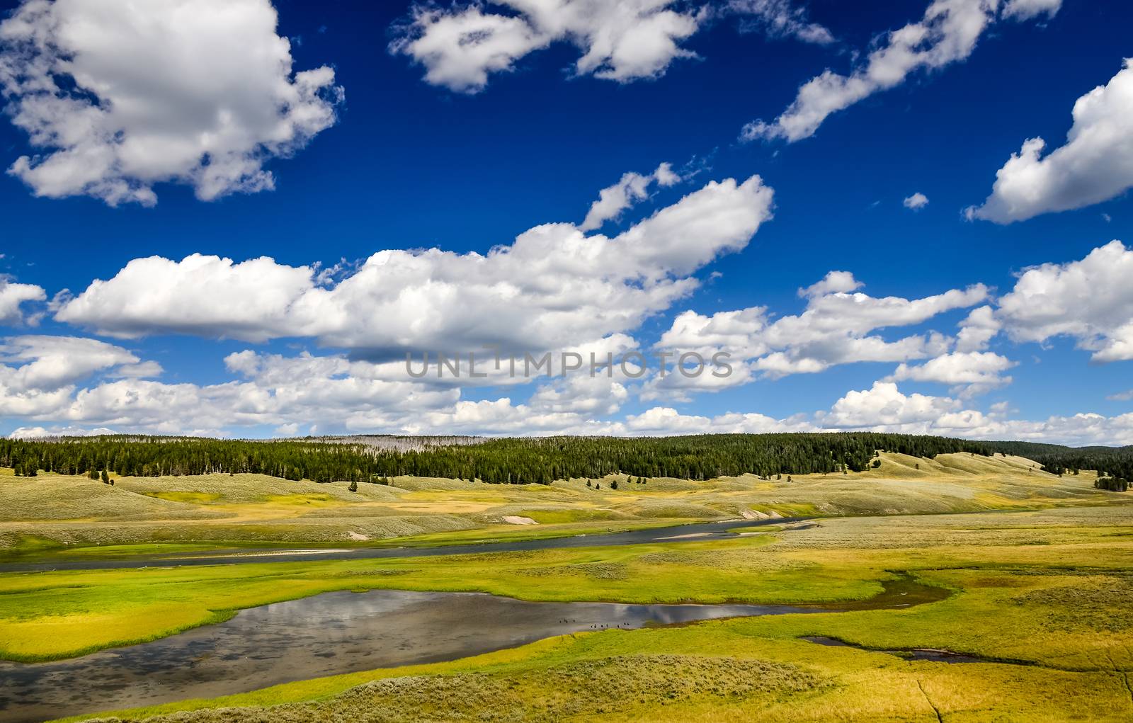 Landscape view of meadows and river in Yellowstone, USA by martinm303