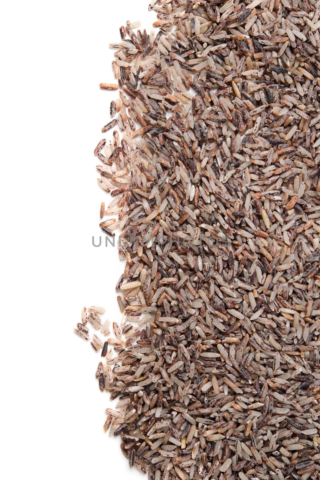 brown rice background by antpkr