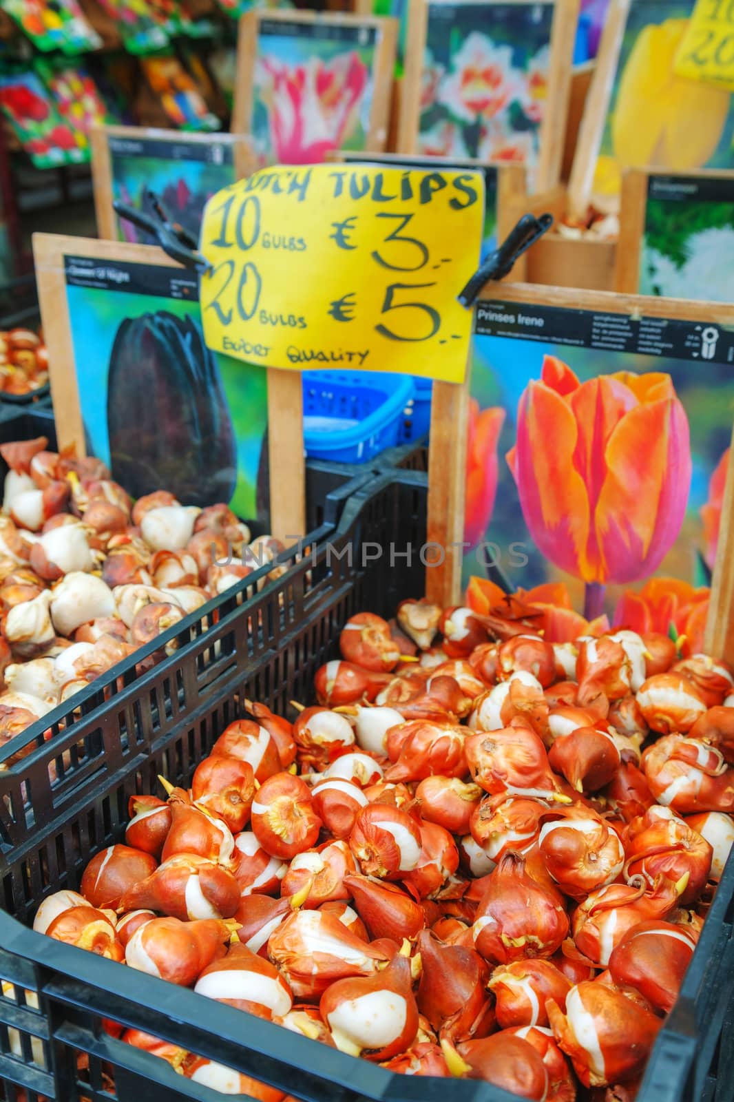 Boxes with bulbs at the Floating flower market in Amsterdam by AndreyKr