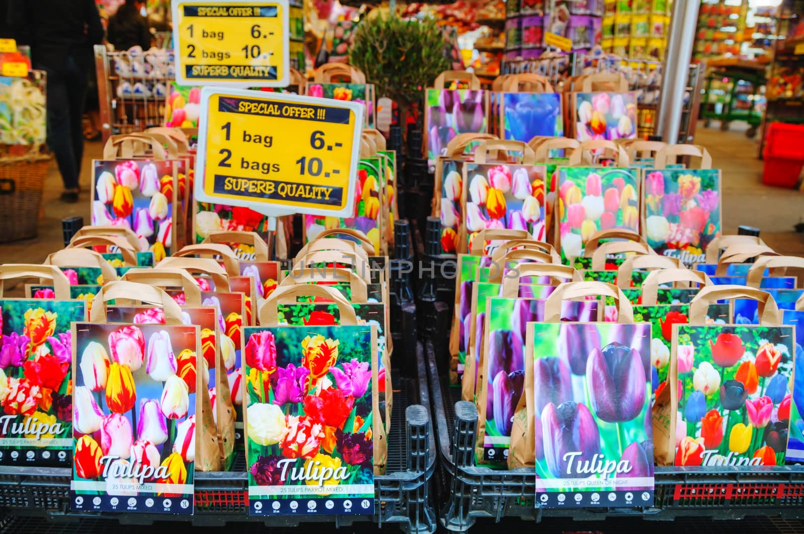 Boxes with bulbs at the Floating flower market in Amsterdam by AndreyKr