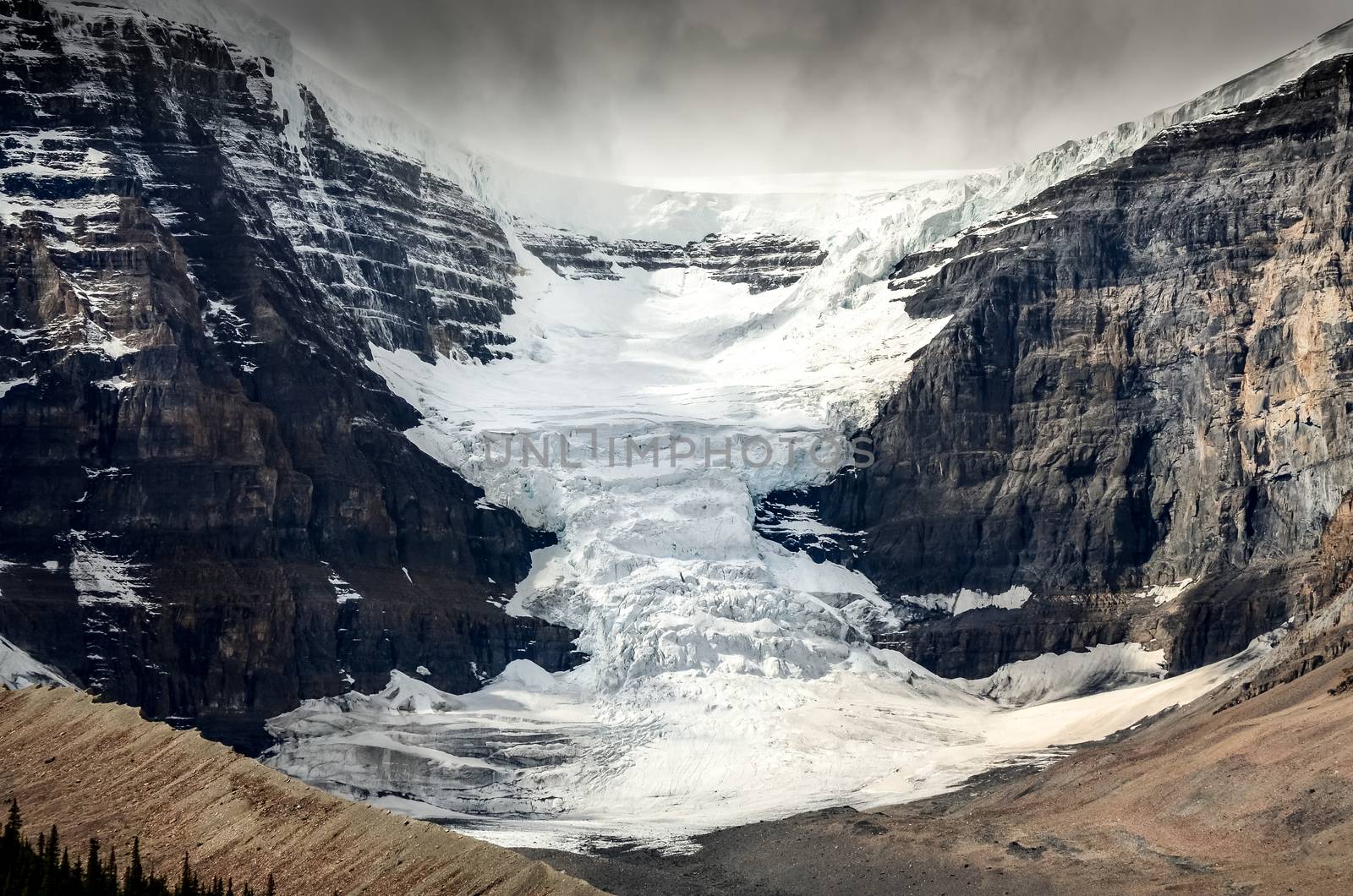 Scenic view of Columbia Icefield glacier in Jasper NP, Rocky Mountains, Canada