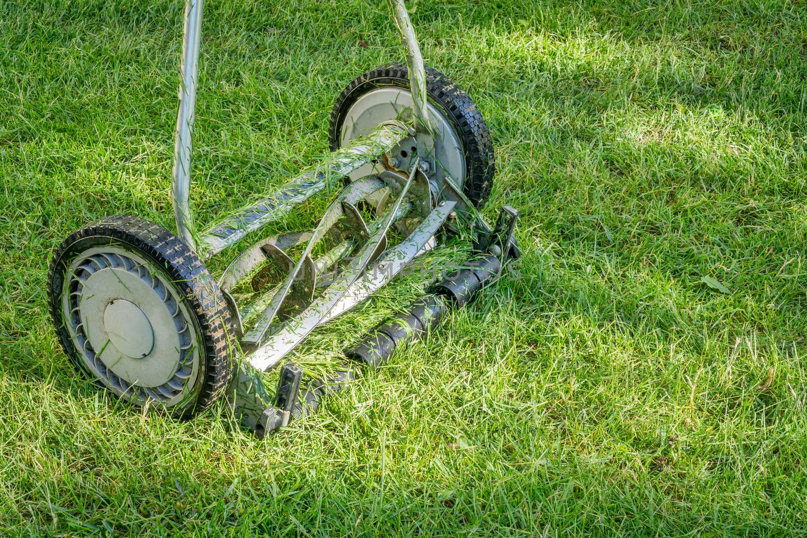 hand lawn mower close up with grass clips