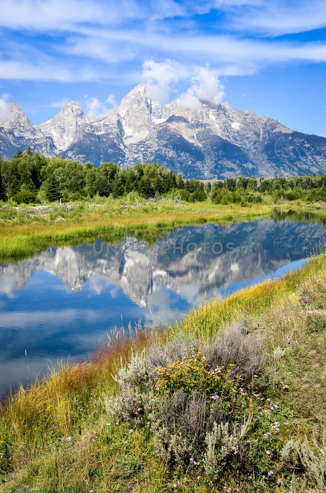 Scenic view of Grand Teton mountains  with water reflection and wild flowers, Wyoming, USA