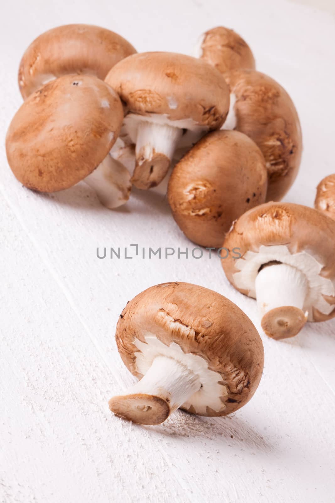 Fresh brown portobello or agaricus mushrooms on a white counter ready for use as a savory cooking ingredient or in vegetarian and vegan cuisine