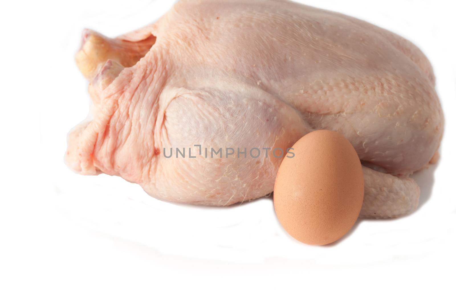 Crude Hen and crude egg  on a white background