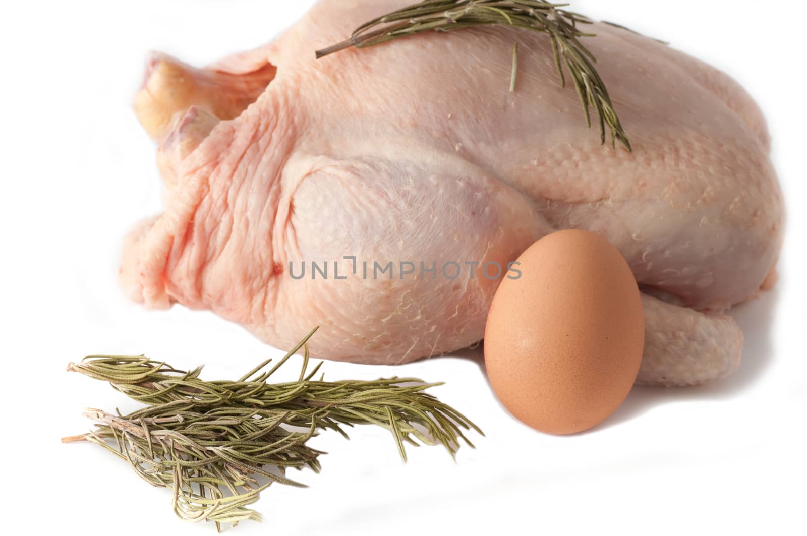 Crude Hen and crude egg  on a white background