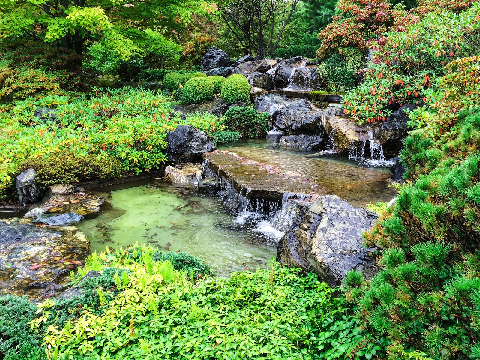 Japanese garden with water cascades in early autumn.