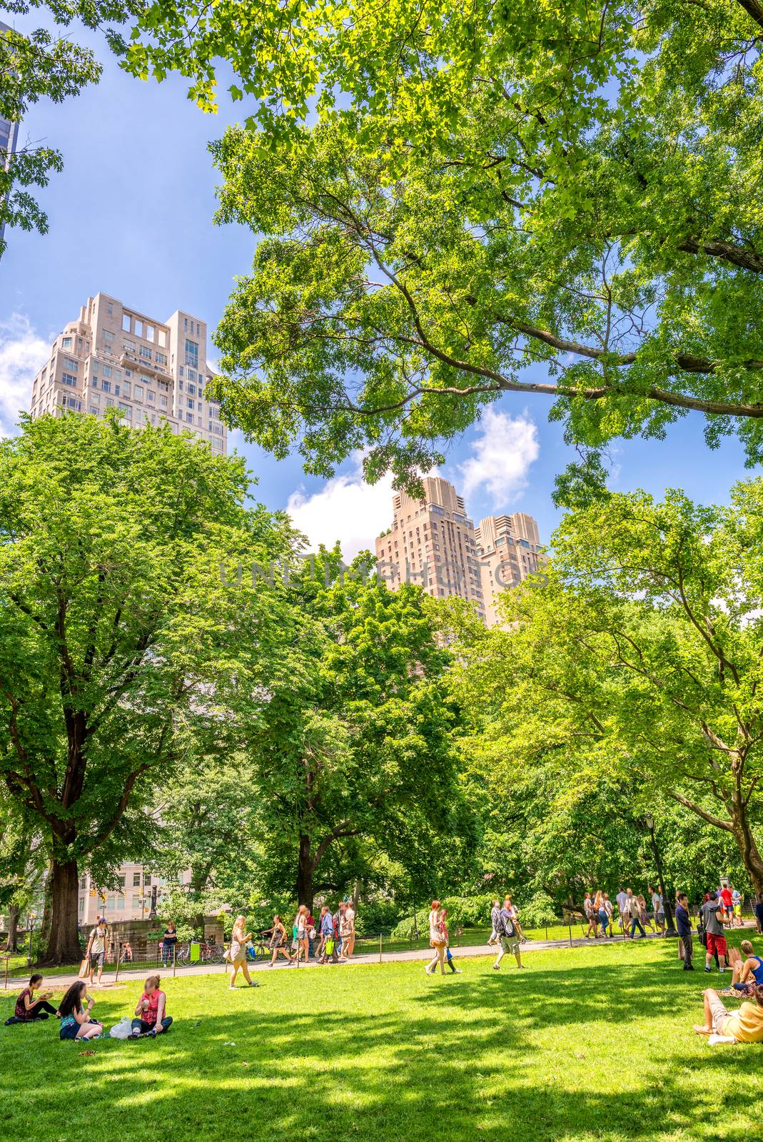 Manhattan buildings framed by Central Park trees.