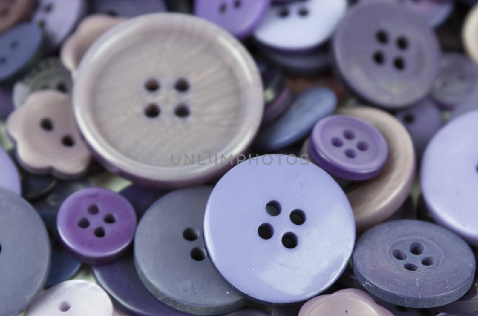 Close up of various purple button scattered on a white surface.